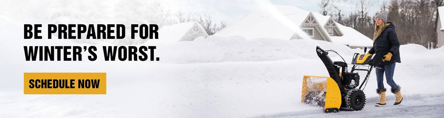 Banner Service Snow Blowers