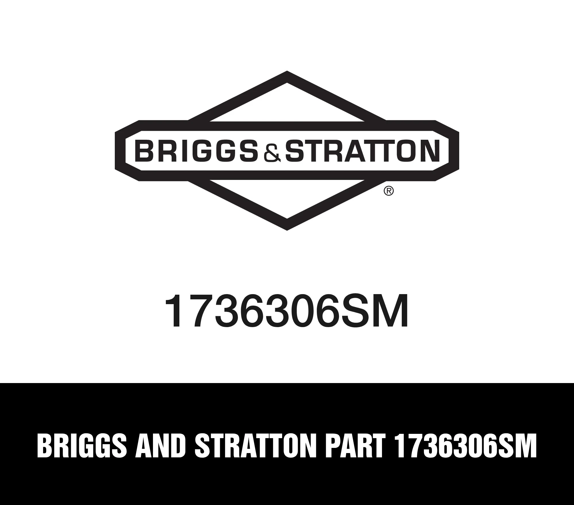 Briggs and Stratton Part 1736306SM