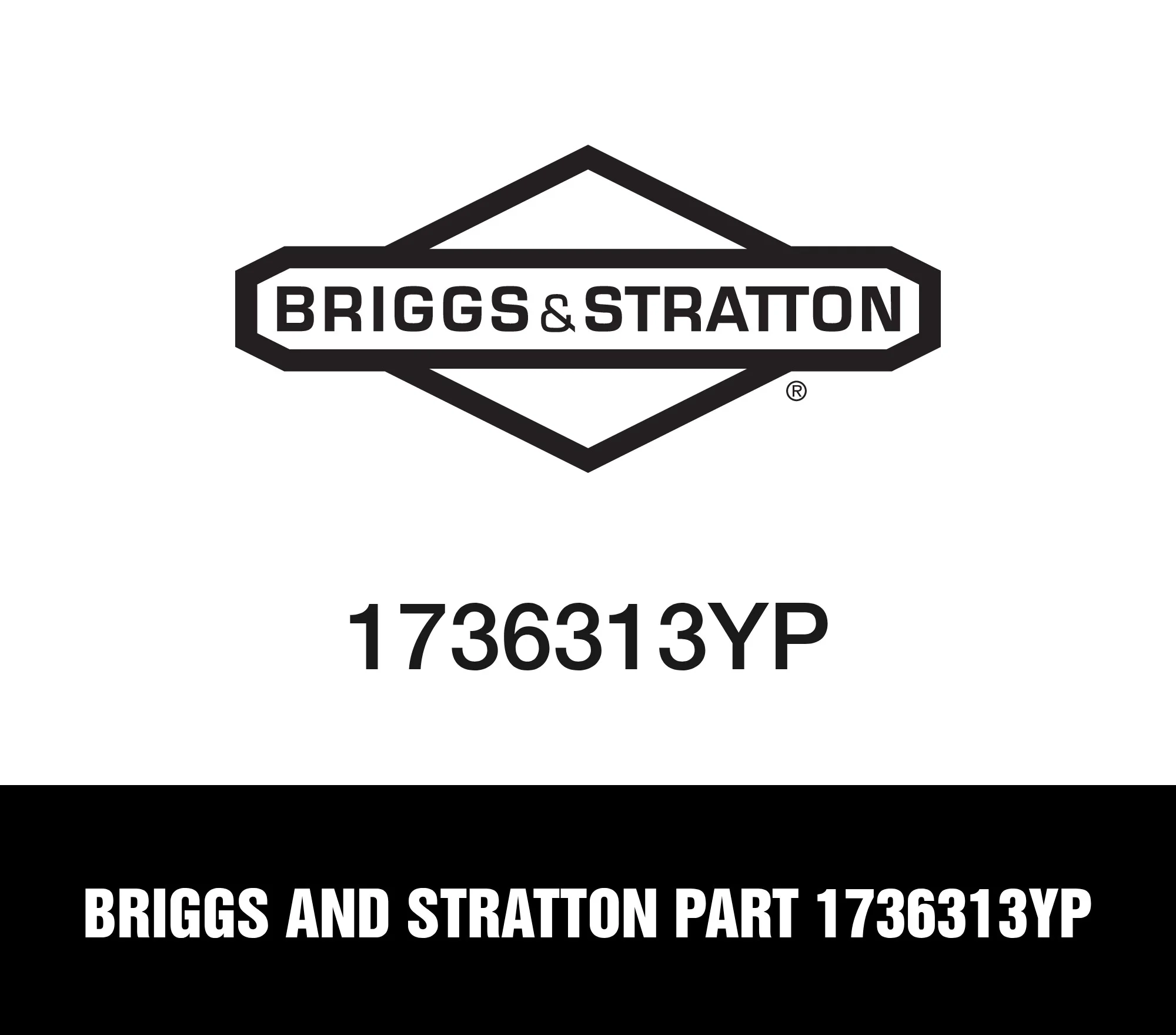 Briggs and Stratton Part 1736313YP