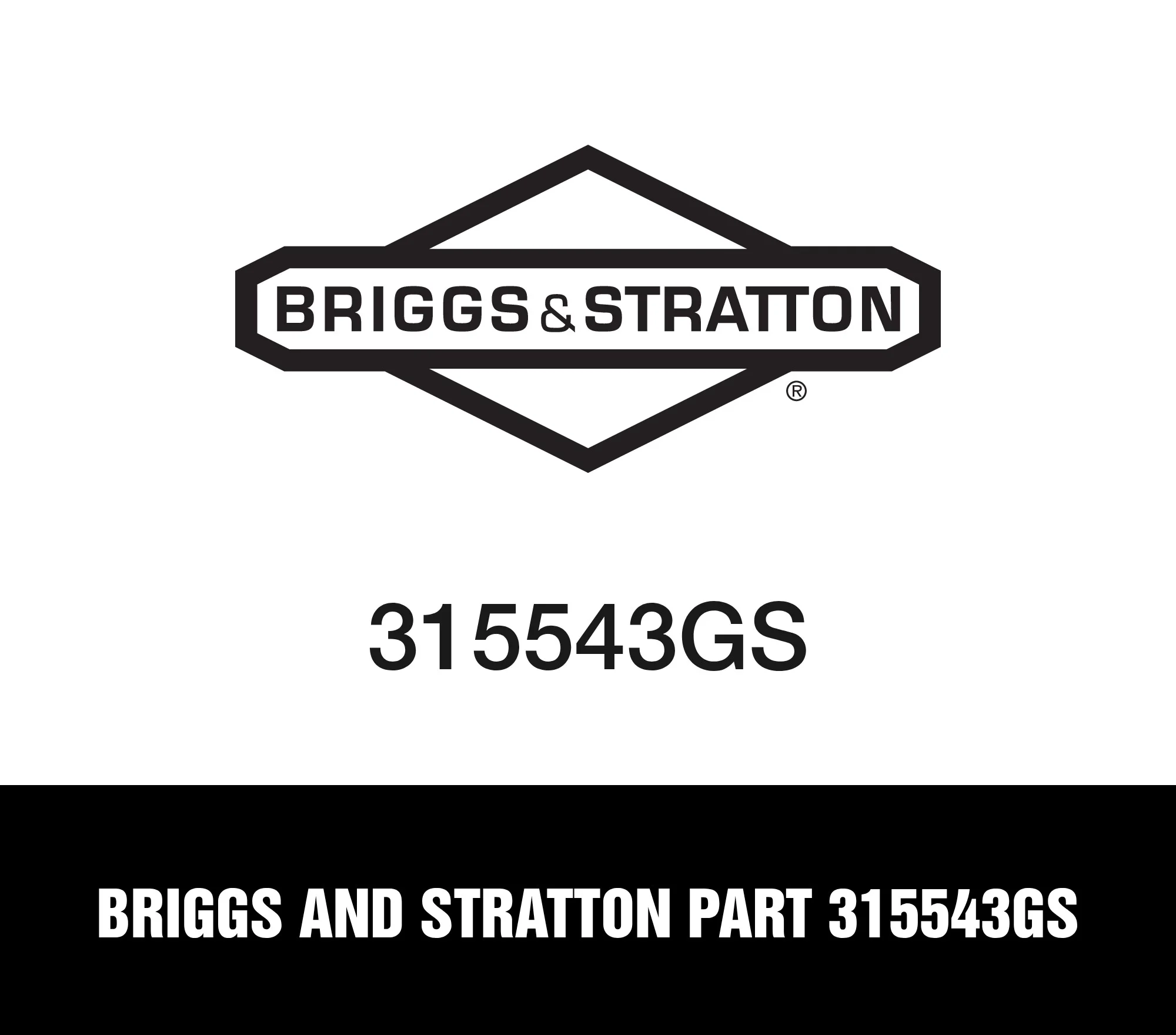 Briggs and Stratton Part 315543GS