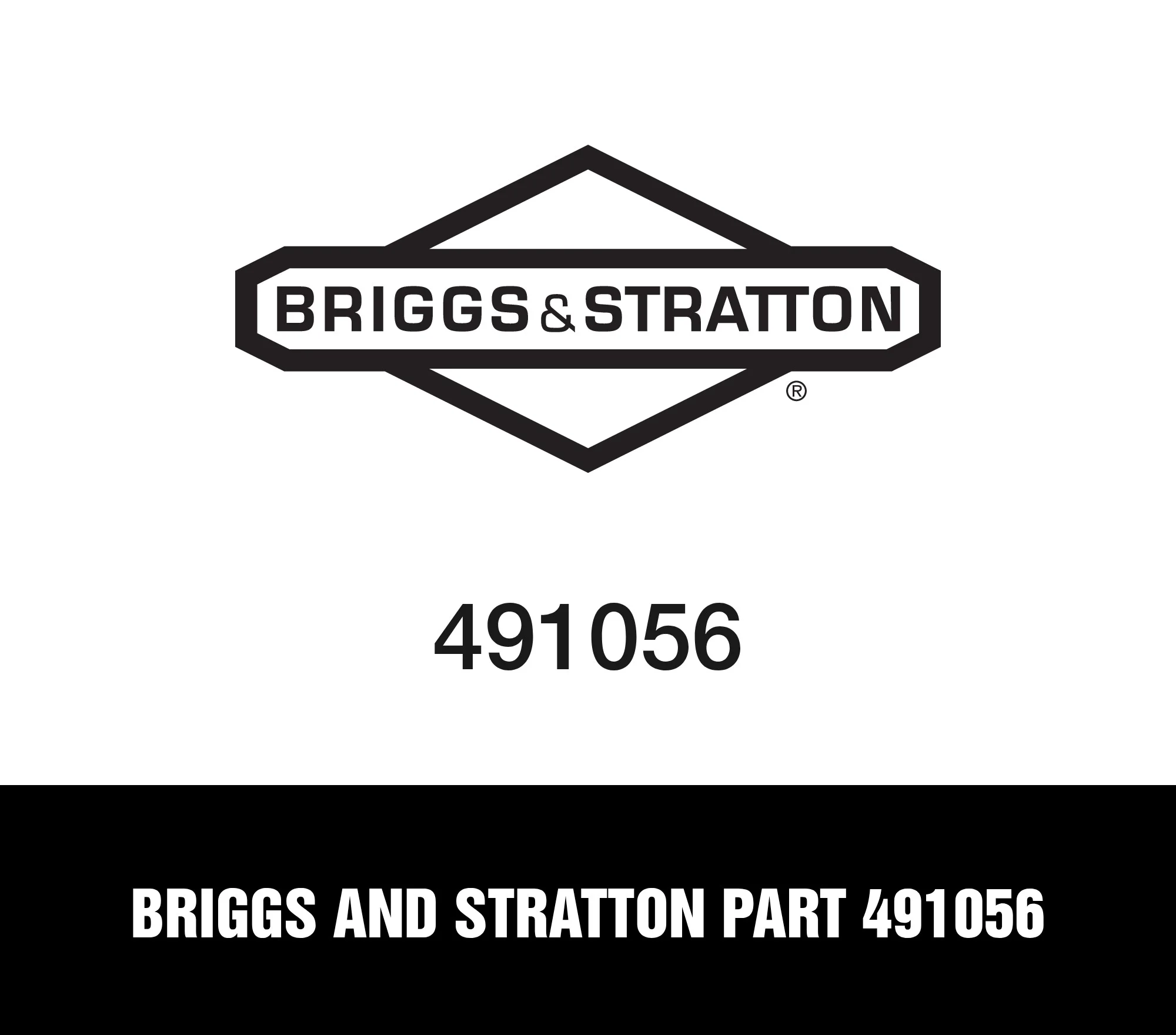 Briggs and Stratton Part 491056