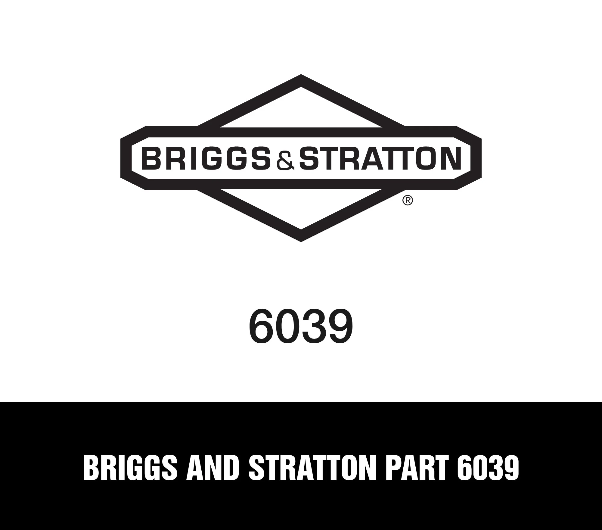 Briggs and Stratton Part 6039