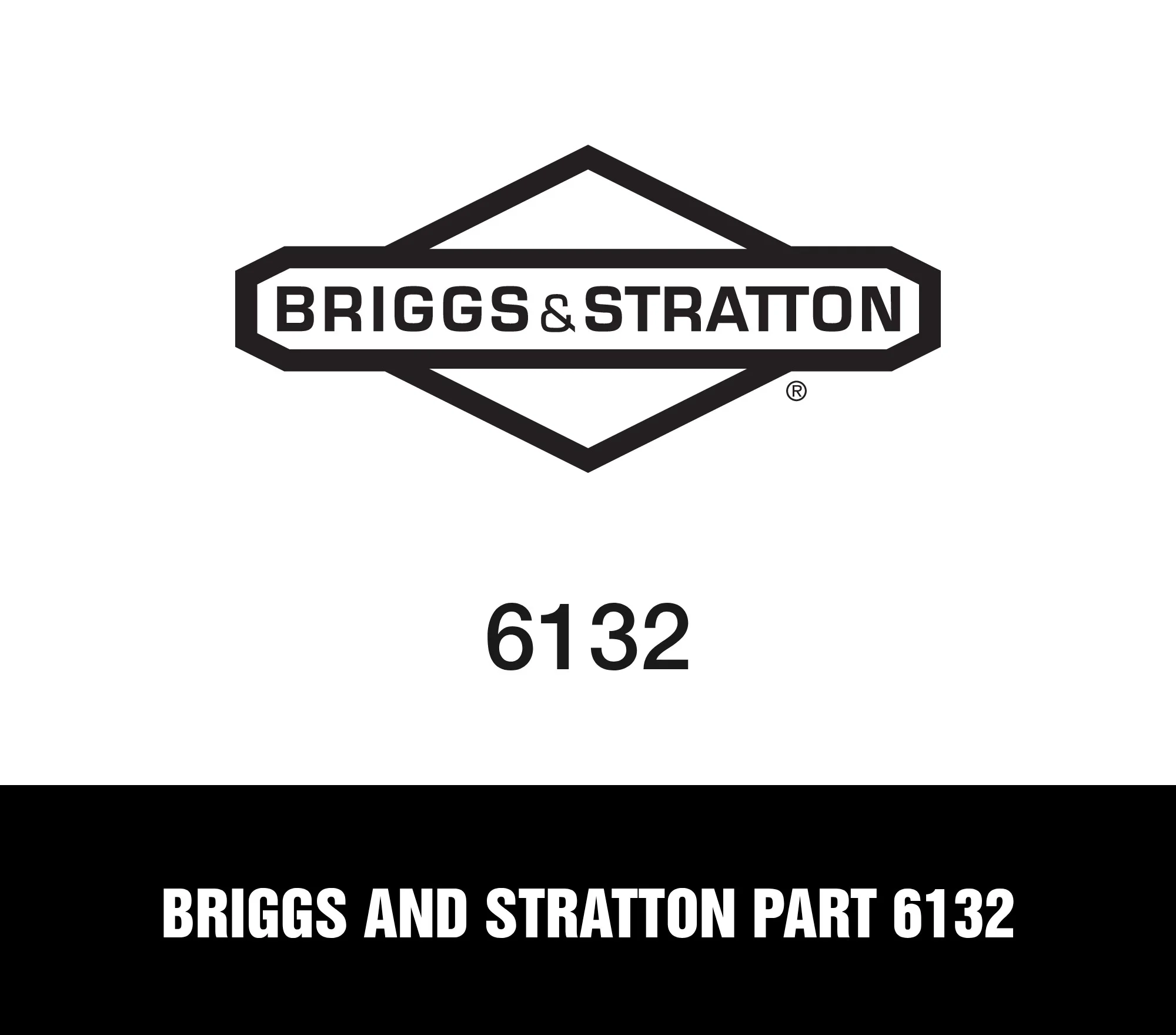 Briggs and Stratton Part 6132