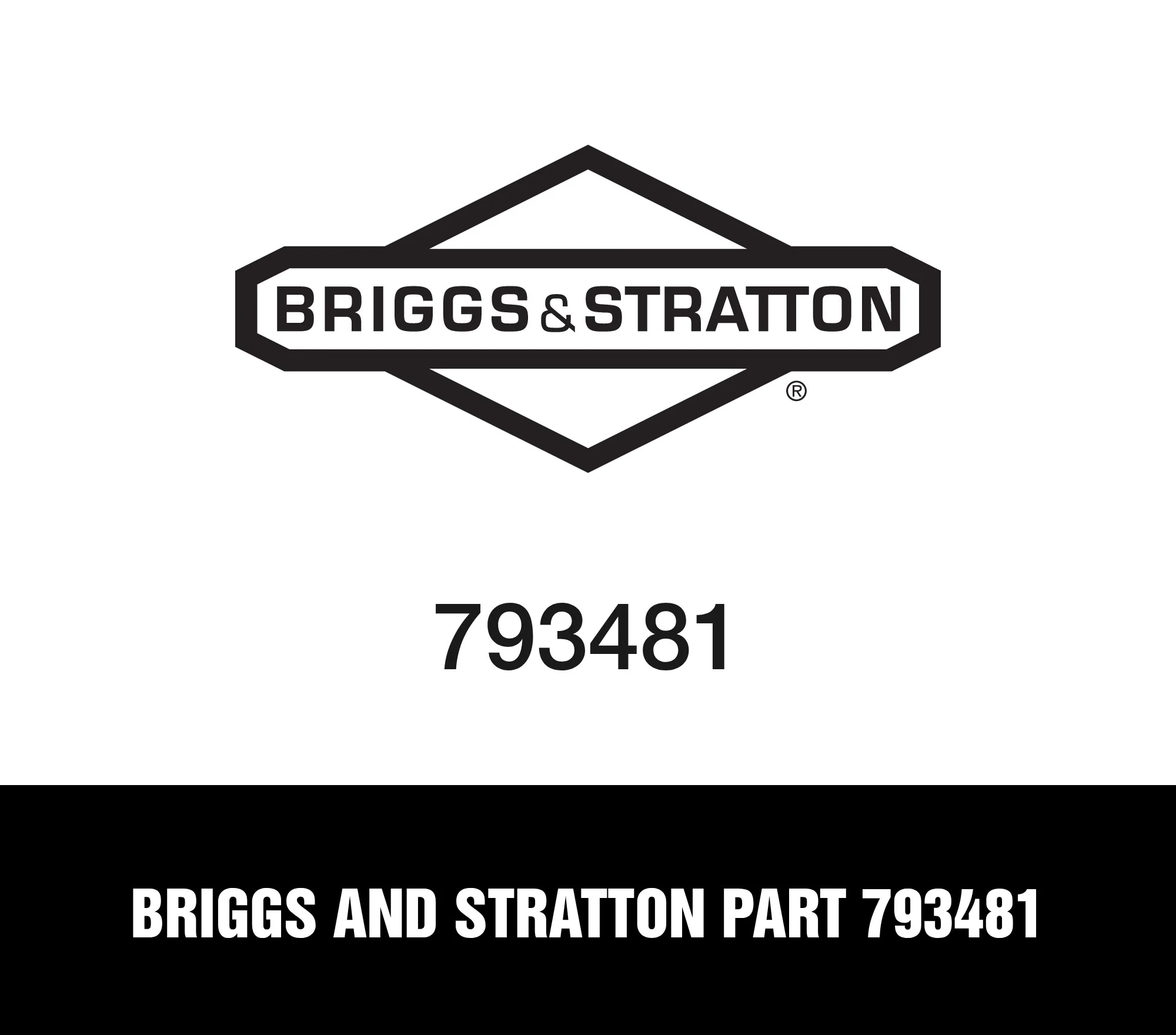 Briggs and Stratton Part 793481