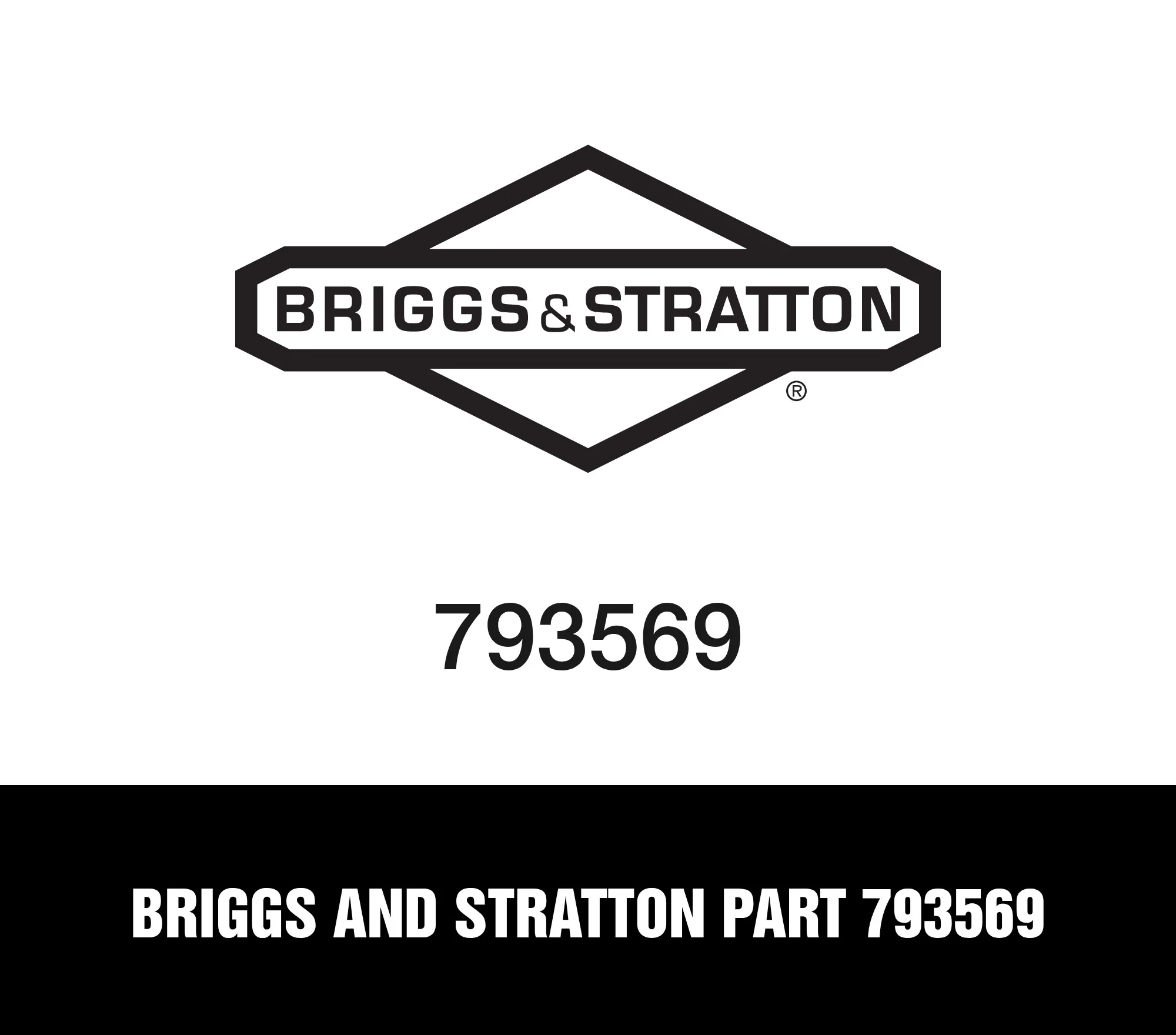 Briggs and Stratton Part 793569