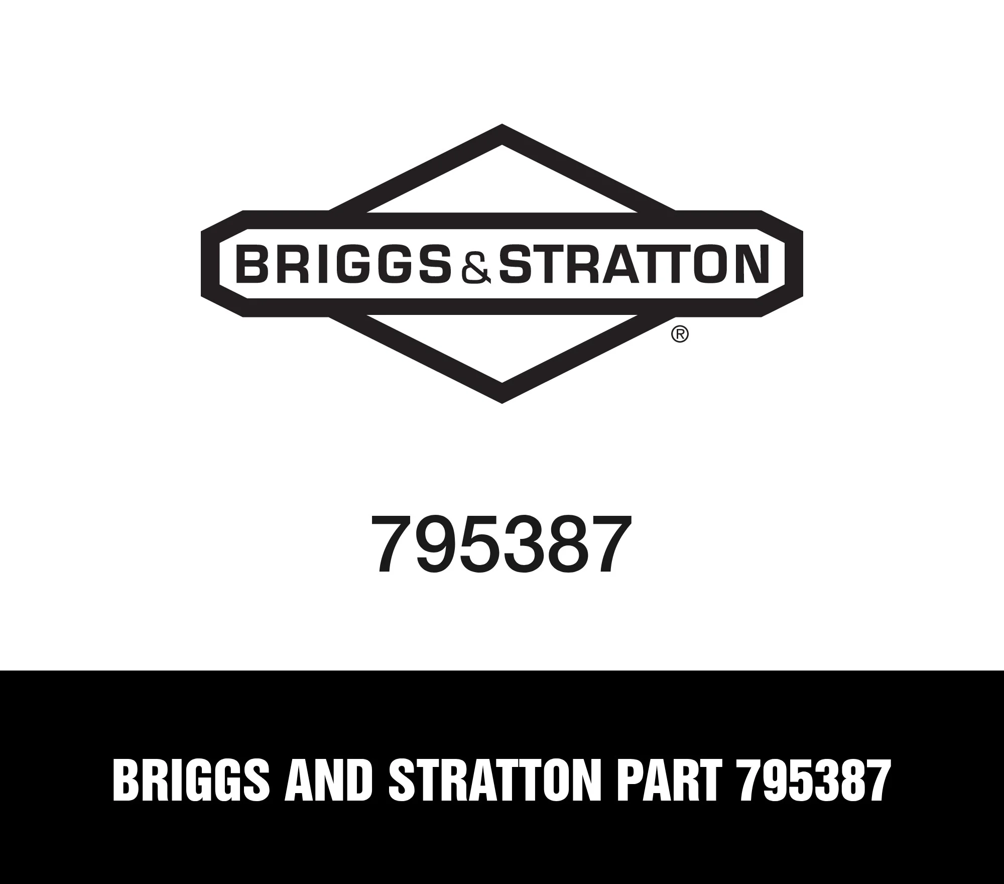 Briggs and Stratton Part 795387