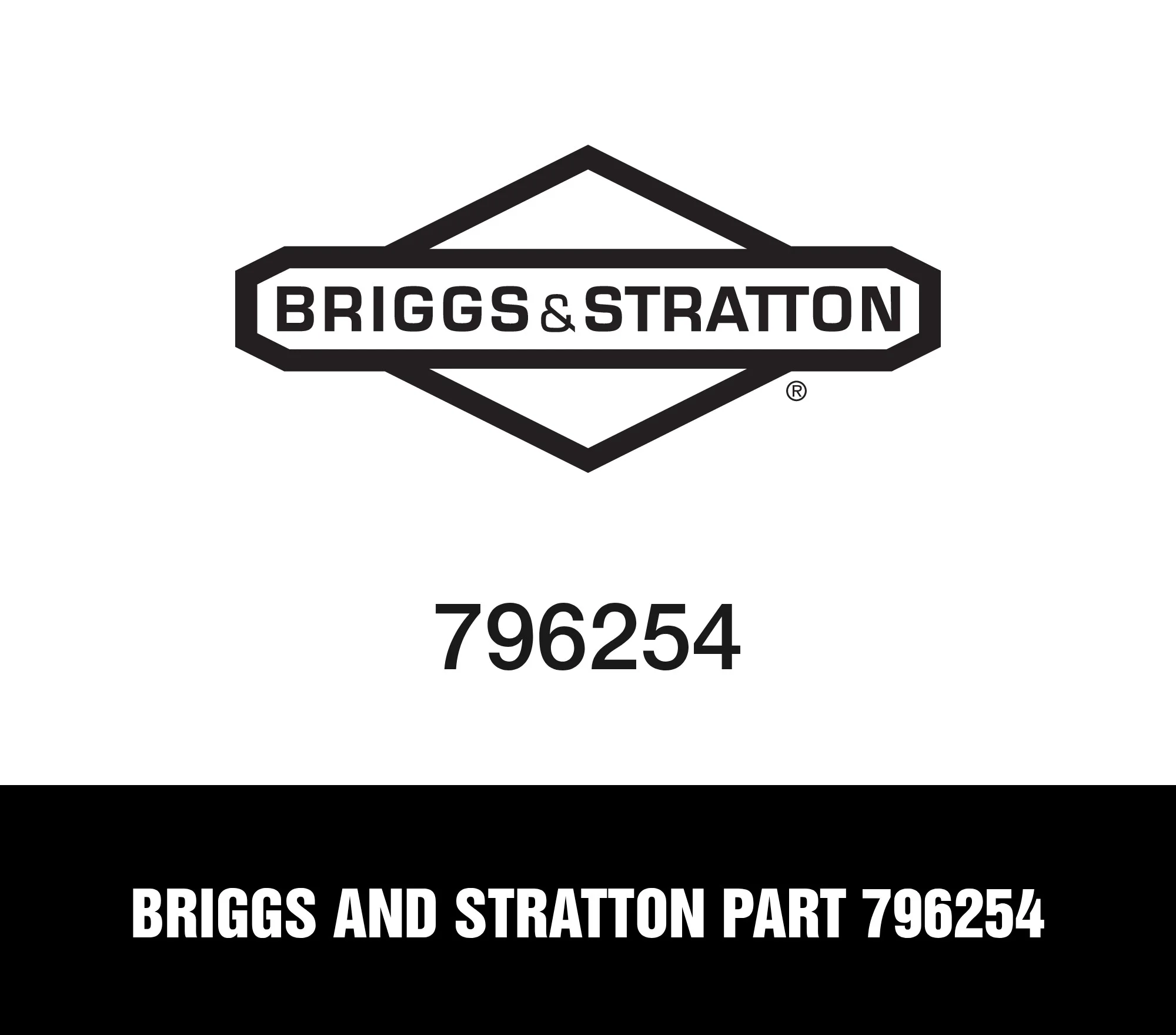 Briggs and Stratton Part 796254