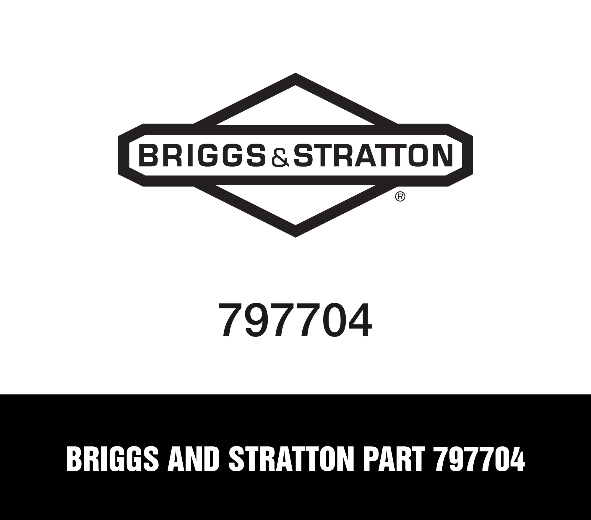 Briggs and Stratton Part 797704