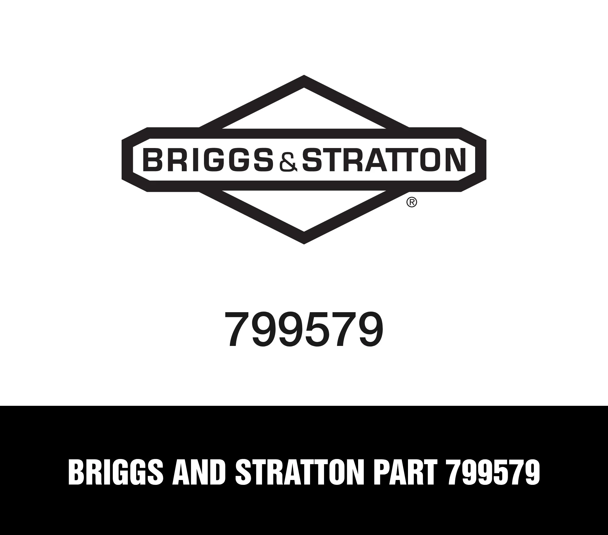 Briggs and Stratton Part 799579
