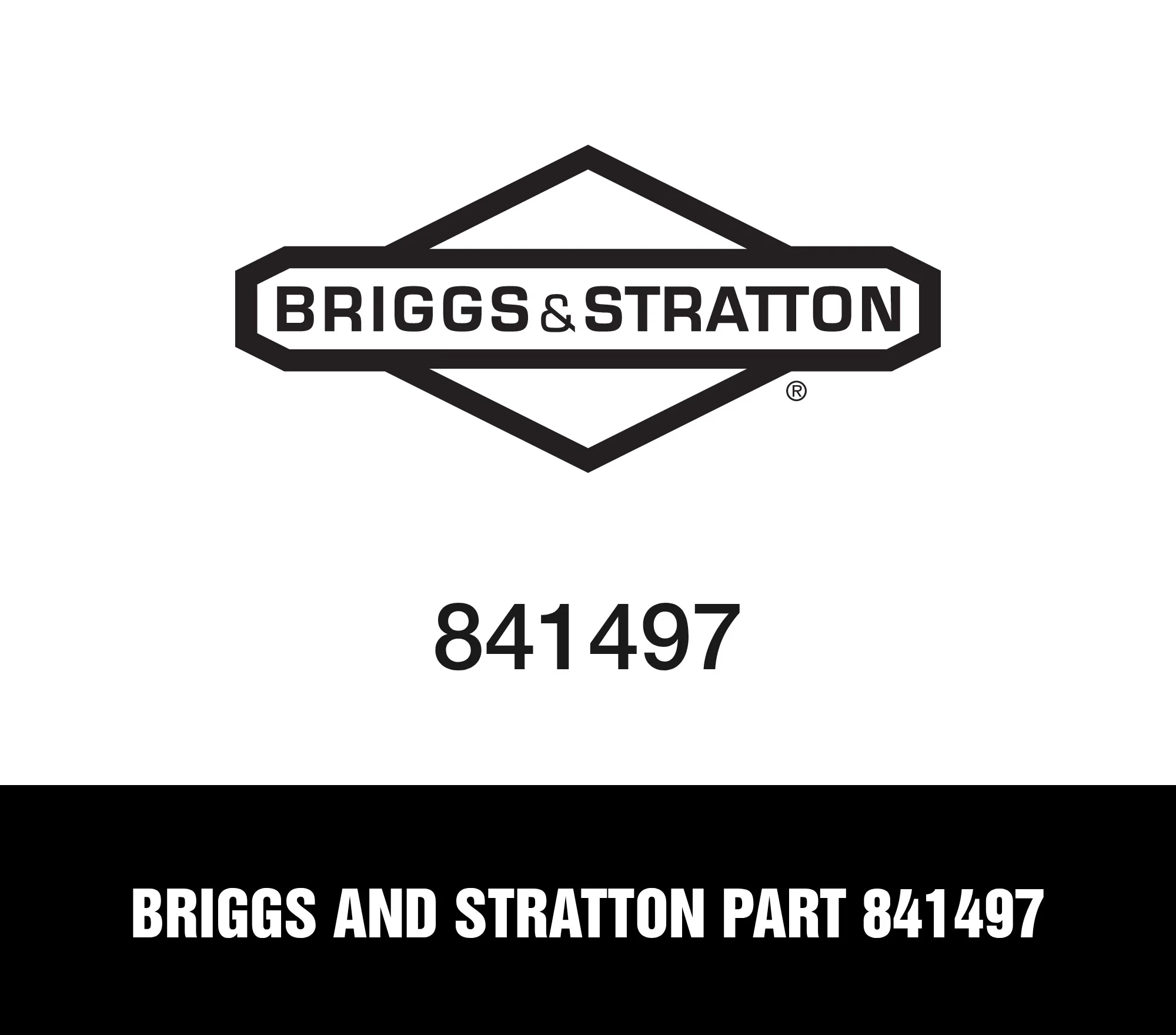 Briggs and Stratton Part 841497