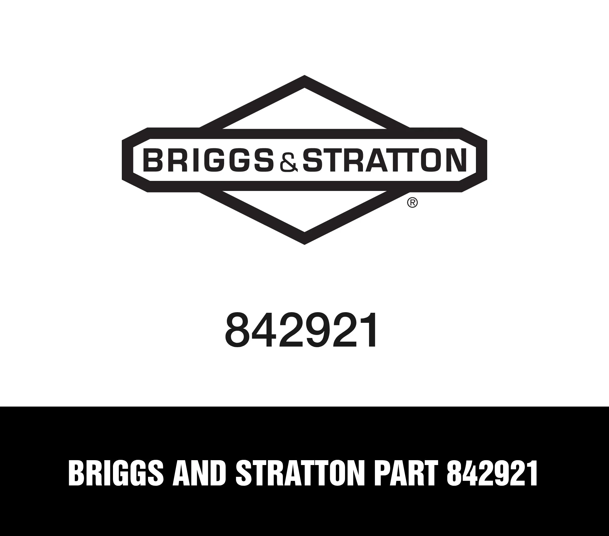 Briggs and Stratton Part 842921
