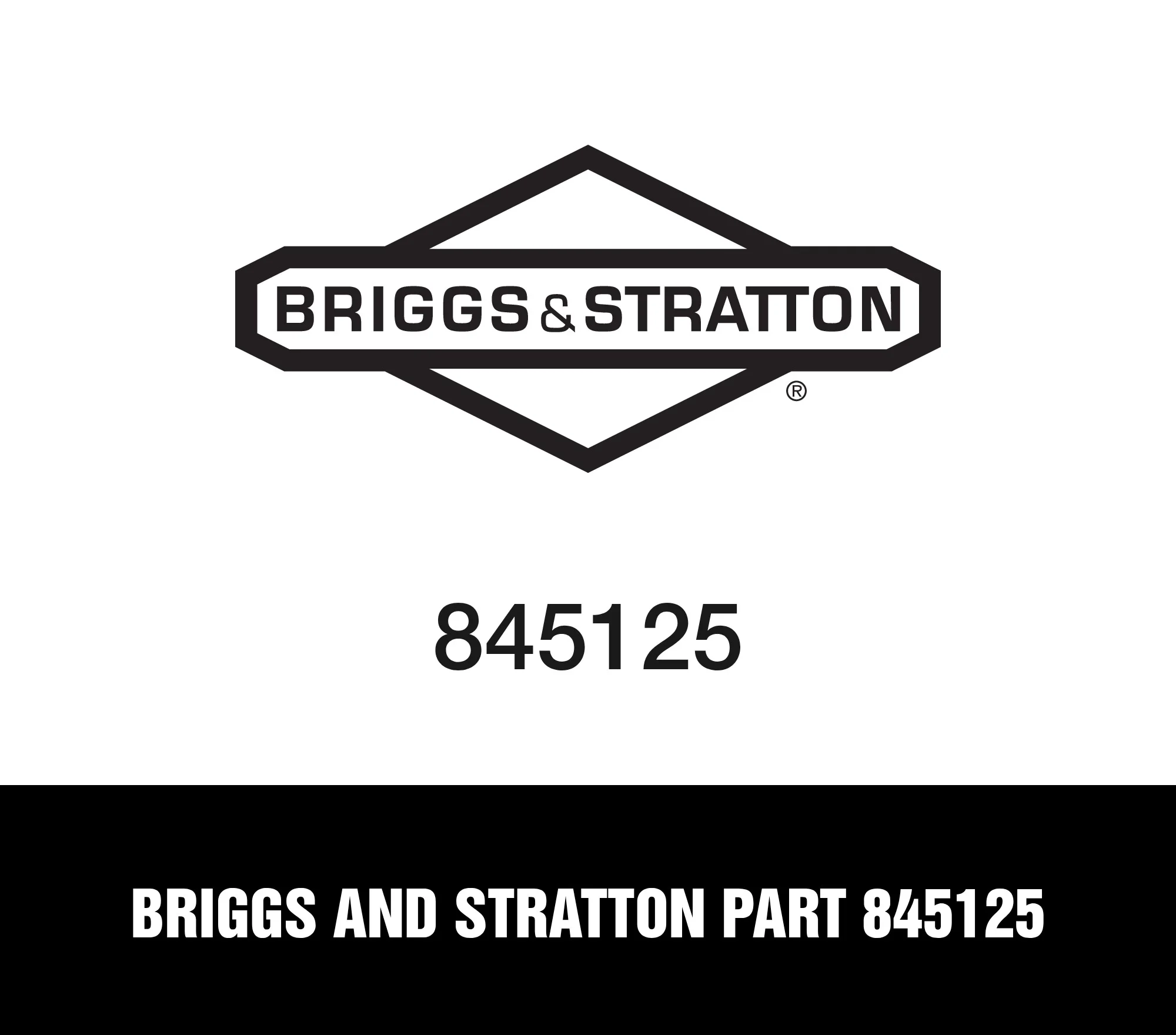 Briggs and Stratton Part 845125