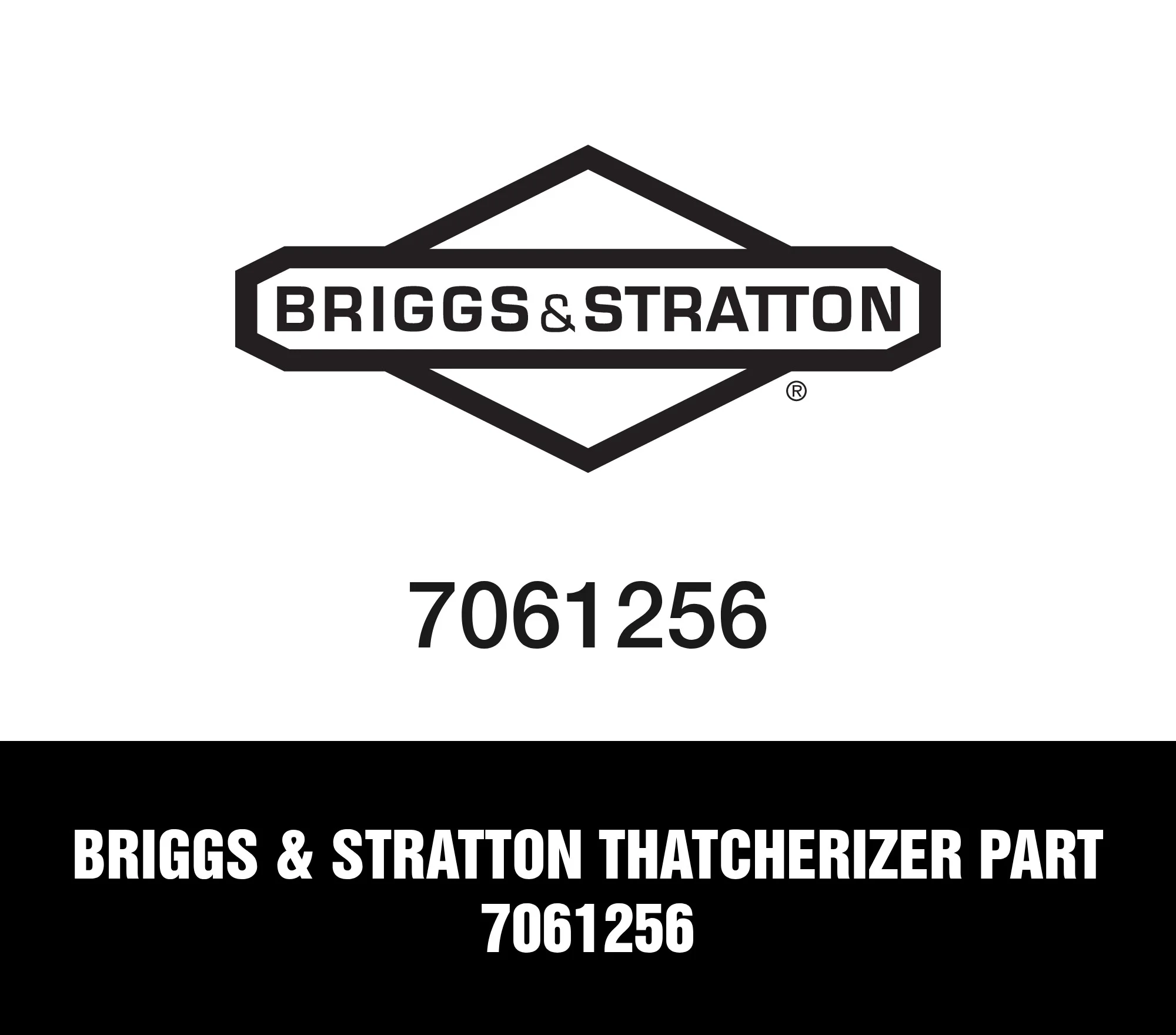 Briggs & Stratton Thatcherizer Part 7061256