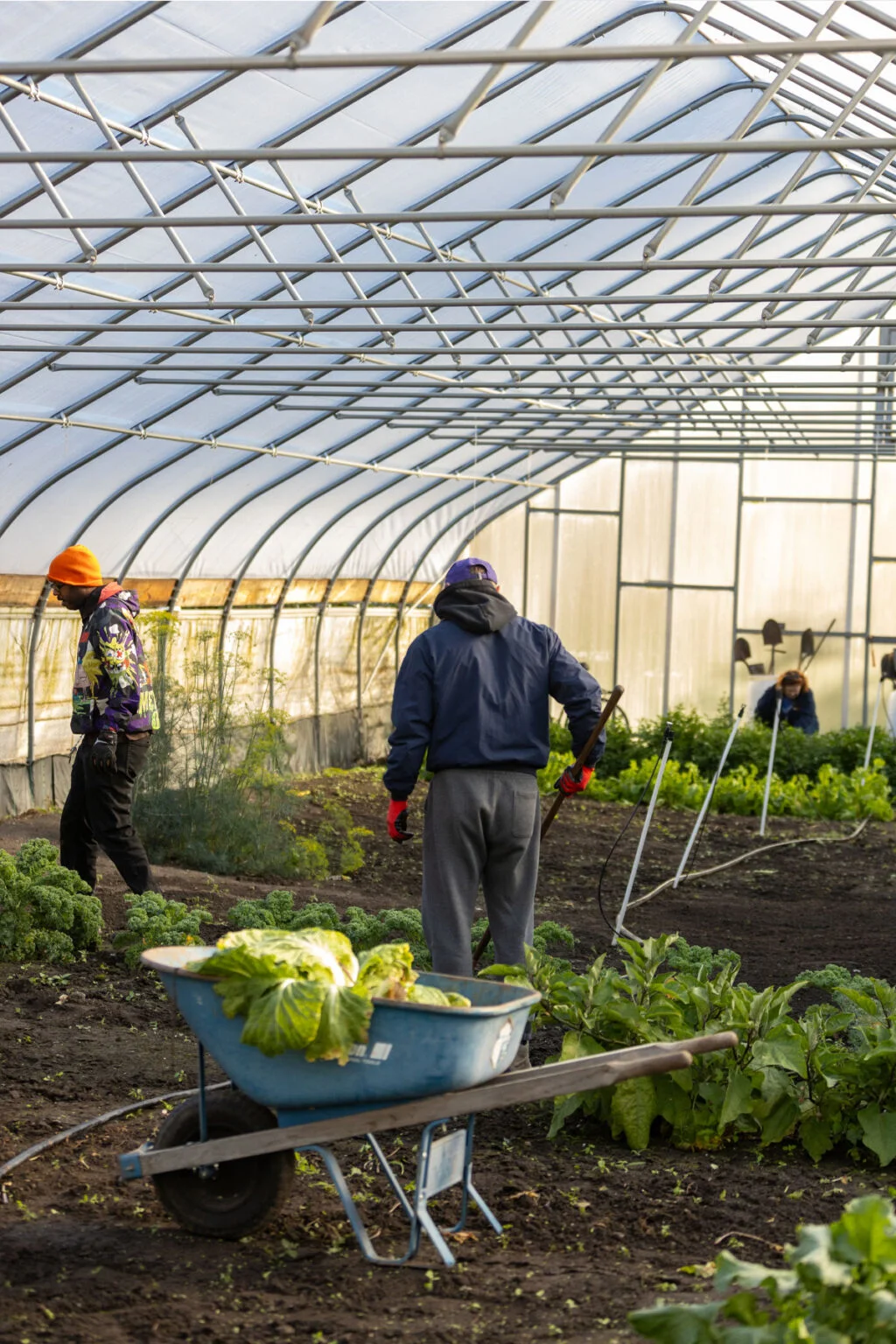 Urban Garden