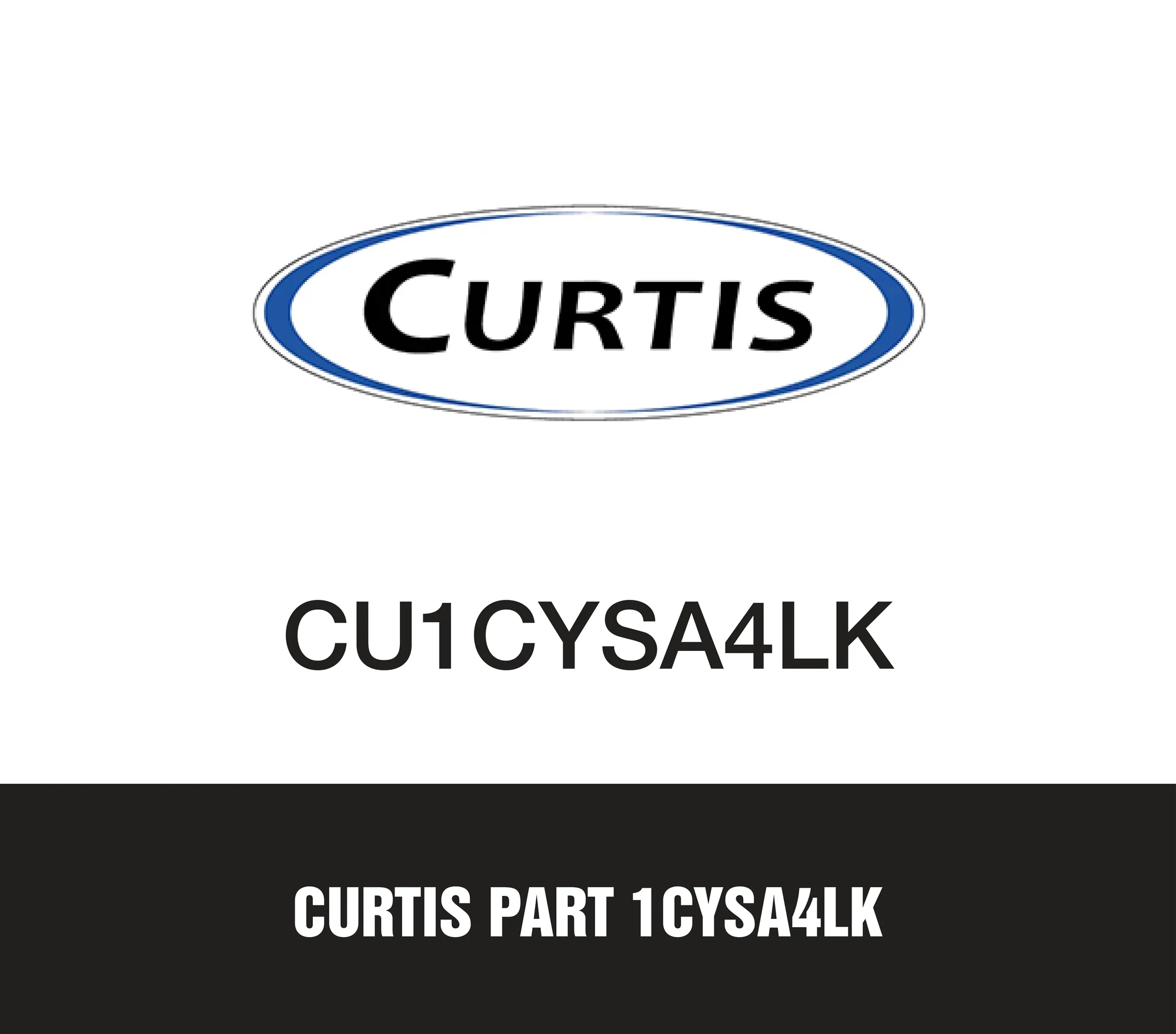 Curtis Part 1CYSA4LK