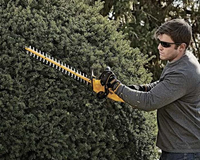 DeWalt 20V MAX Hedge Trimmer DCHT820B