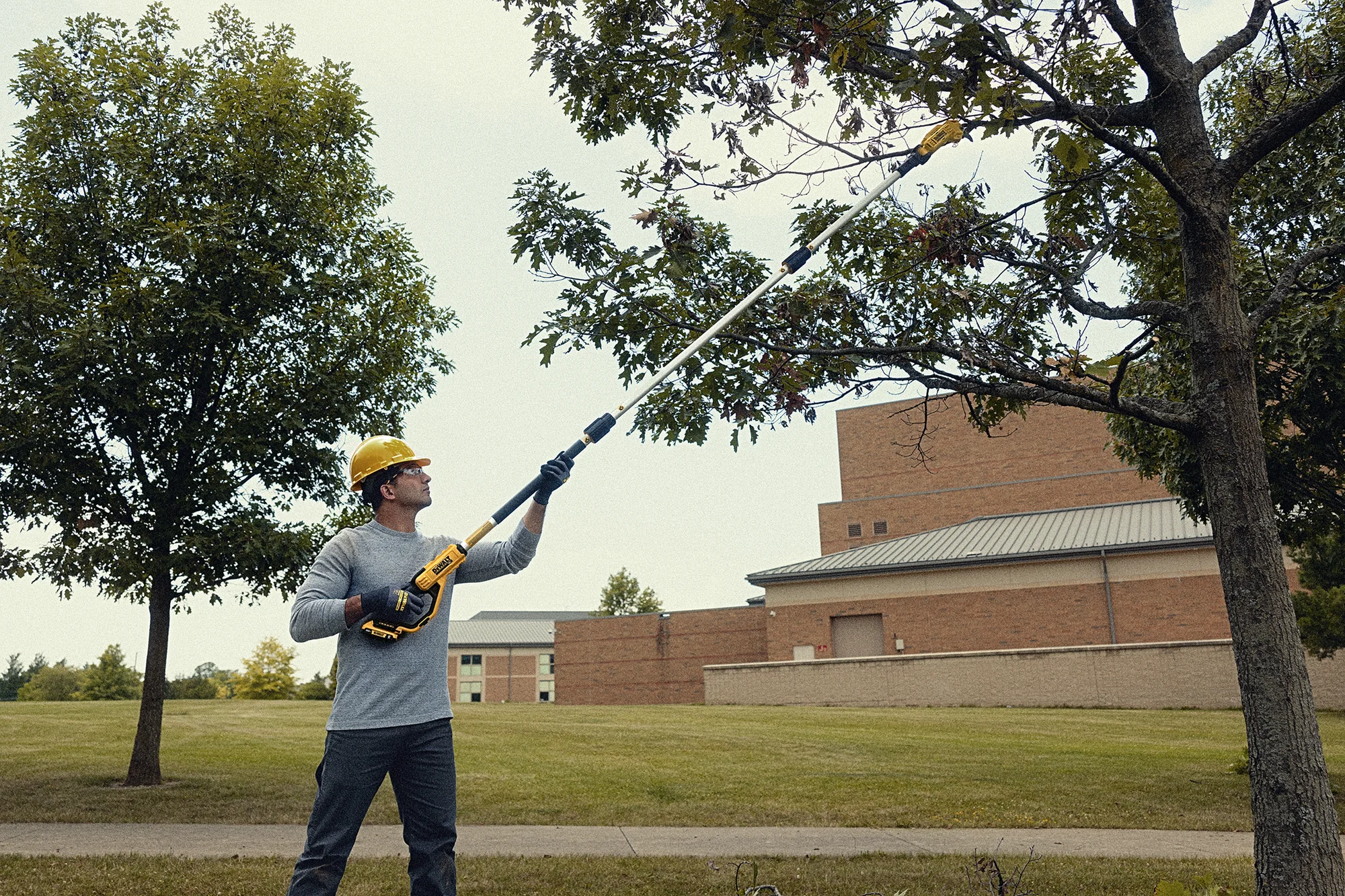 DeWalt 20V MAX Pole Pruner DCPPR320B