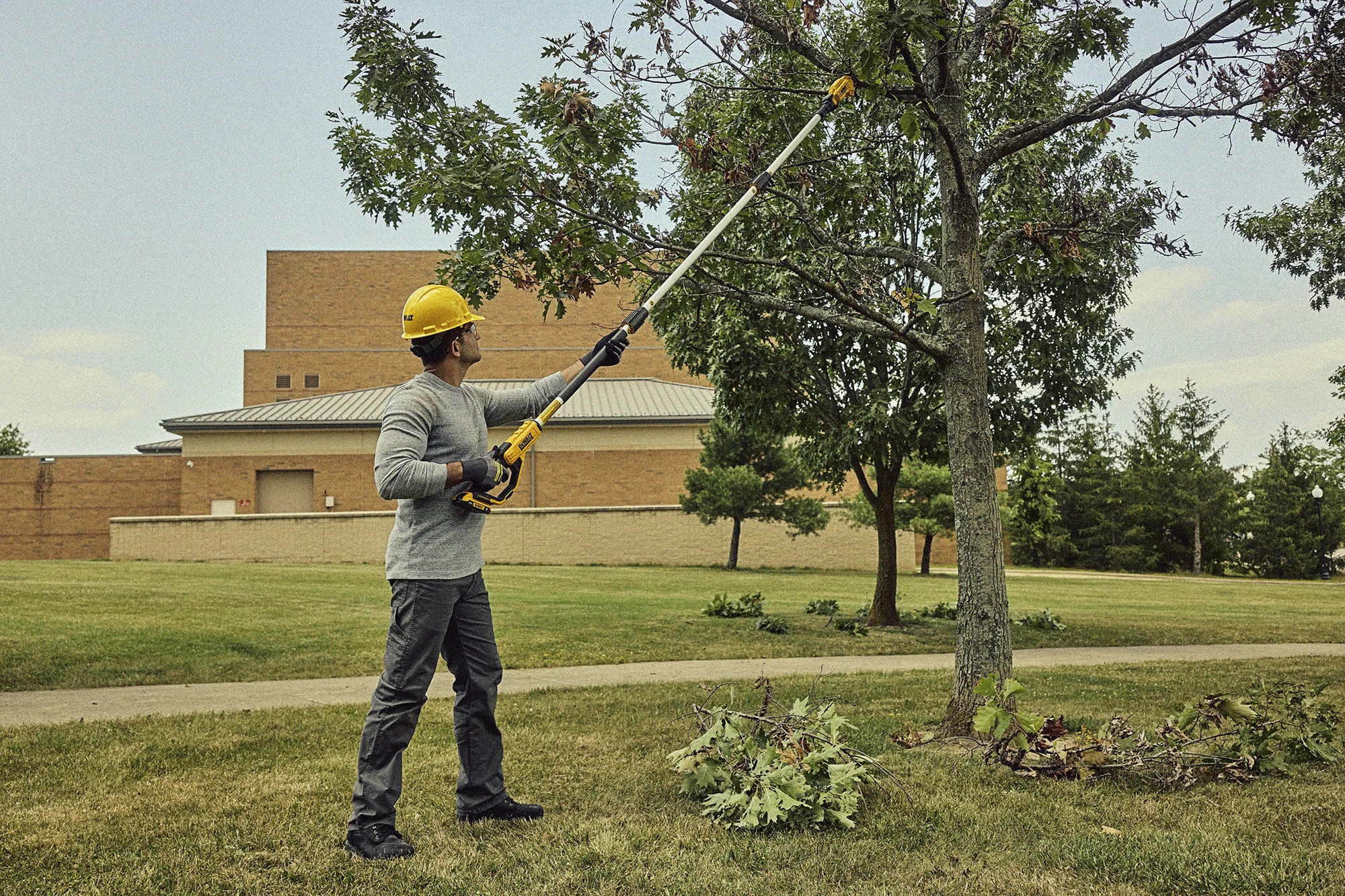 DeWalt 20V MAX Pole Pruner DCPPR320B