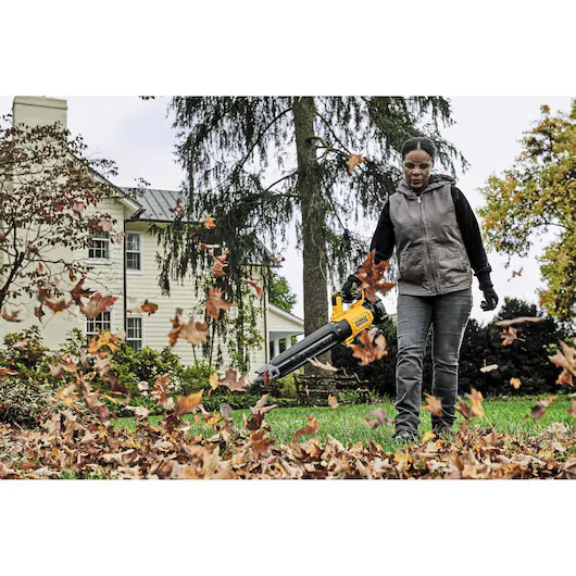DeWalt 20V Max Xr Series Leaf Blowers Quiet Efficient Brushless Motor feature image