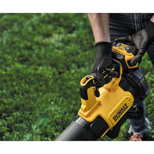 DeWalt 20V Max Xr Series Variable Speed Trigger feature image