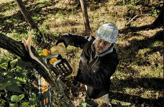 DeWalt 60V Max Series Ergonomic Balance feature image