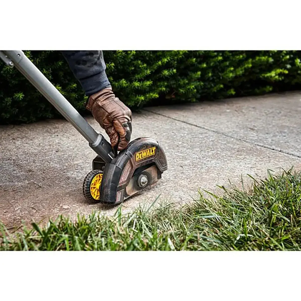 DeWalt Dced Series Edgers Adjustable Depth Guard feature image
