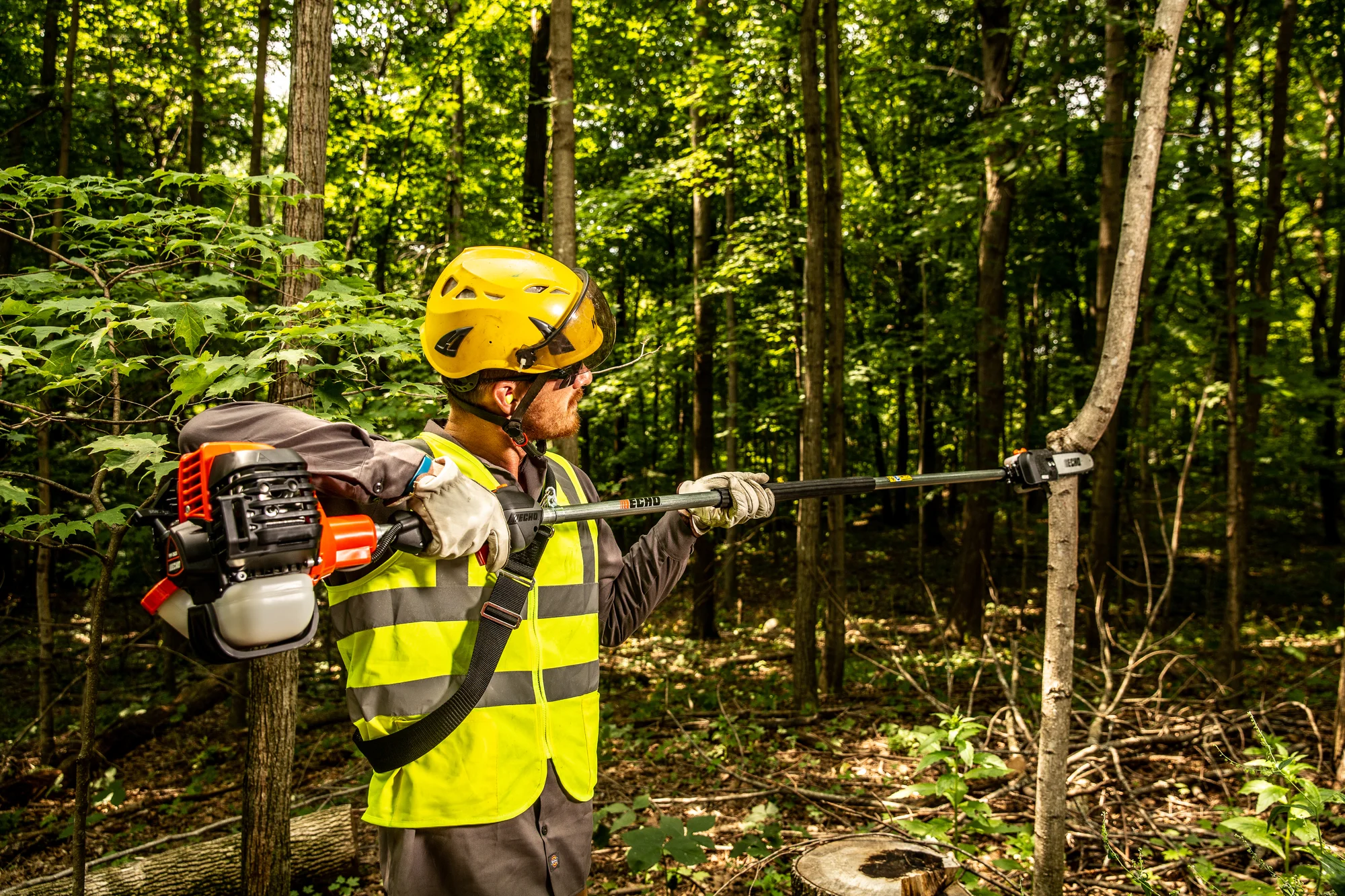 Echo Power Pruner PPF-2620