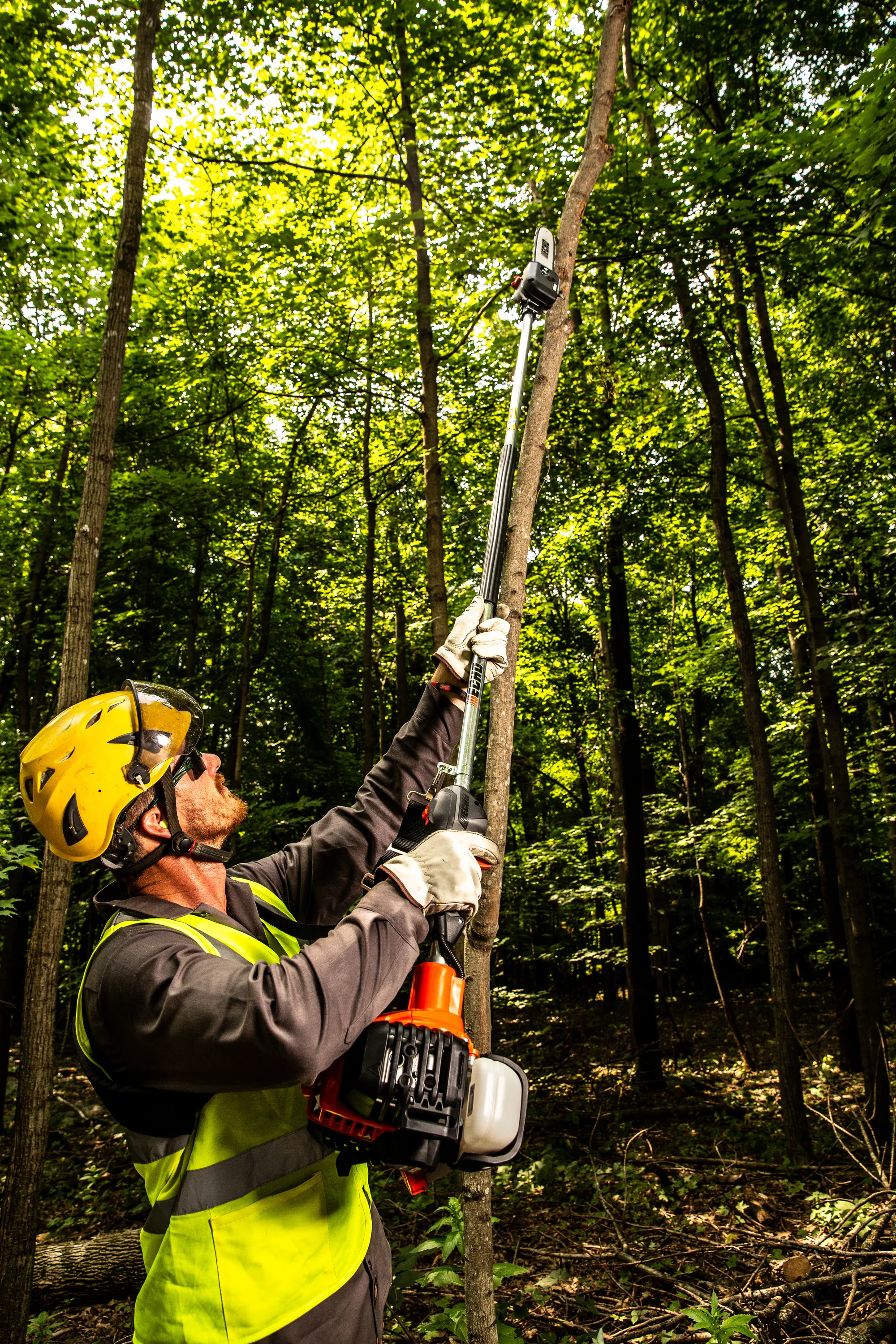 Echo 56V Series Power Pruner Ppf 2620 Man Reaching For Branch product image