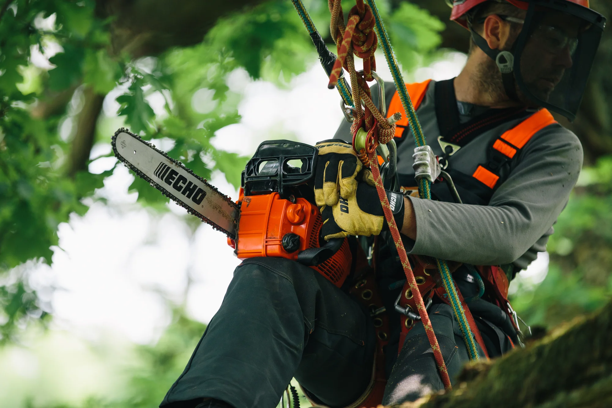 Echo Chainsaw CS-355T-14