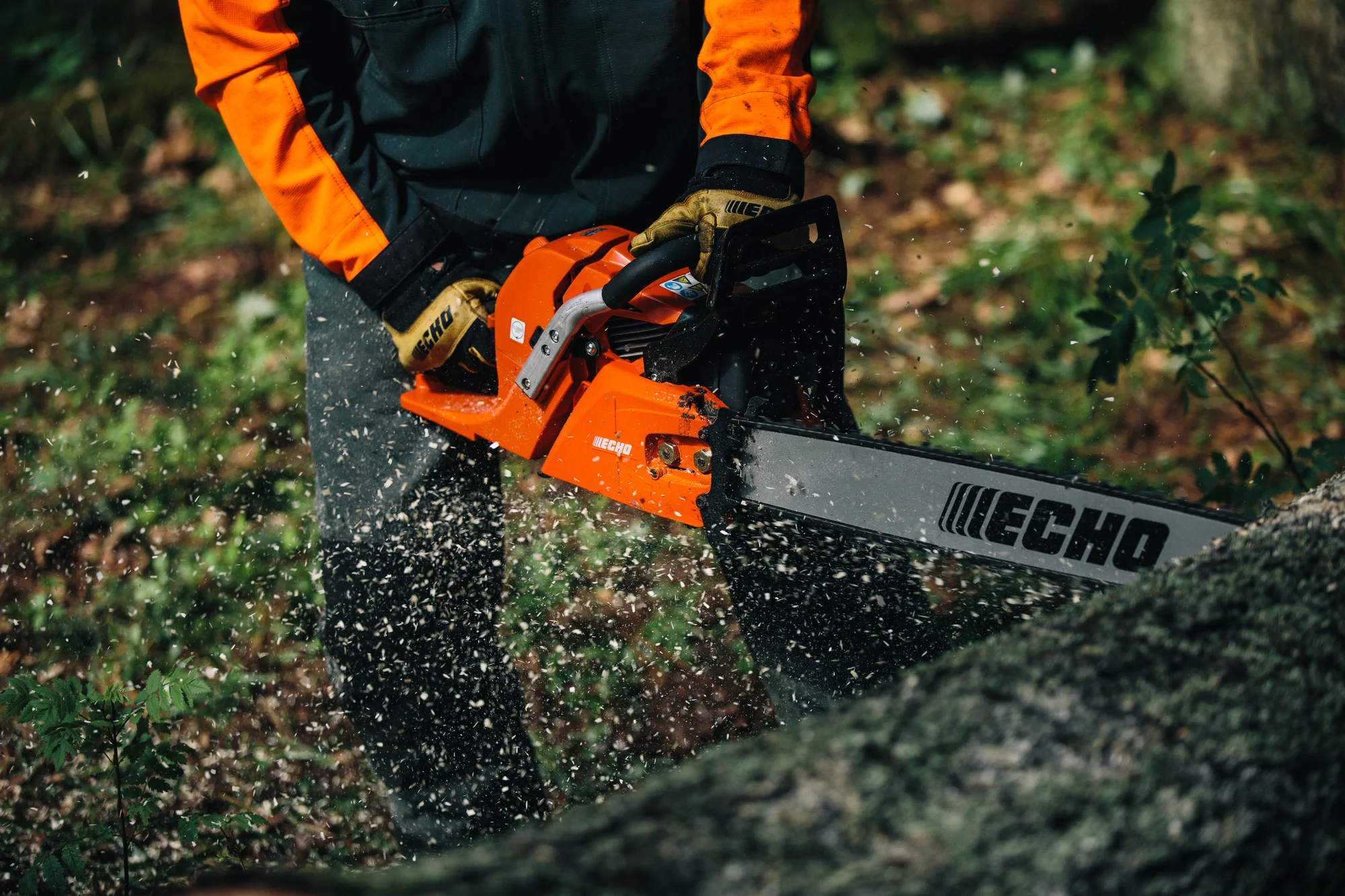 Echo Cs Series Chainsaw Cs 620P 24 Chainsaw Cutting Tree product image