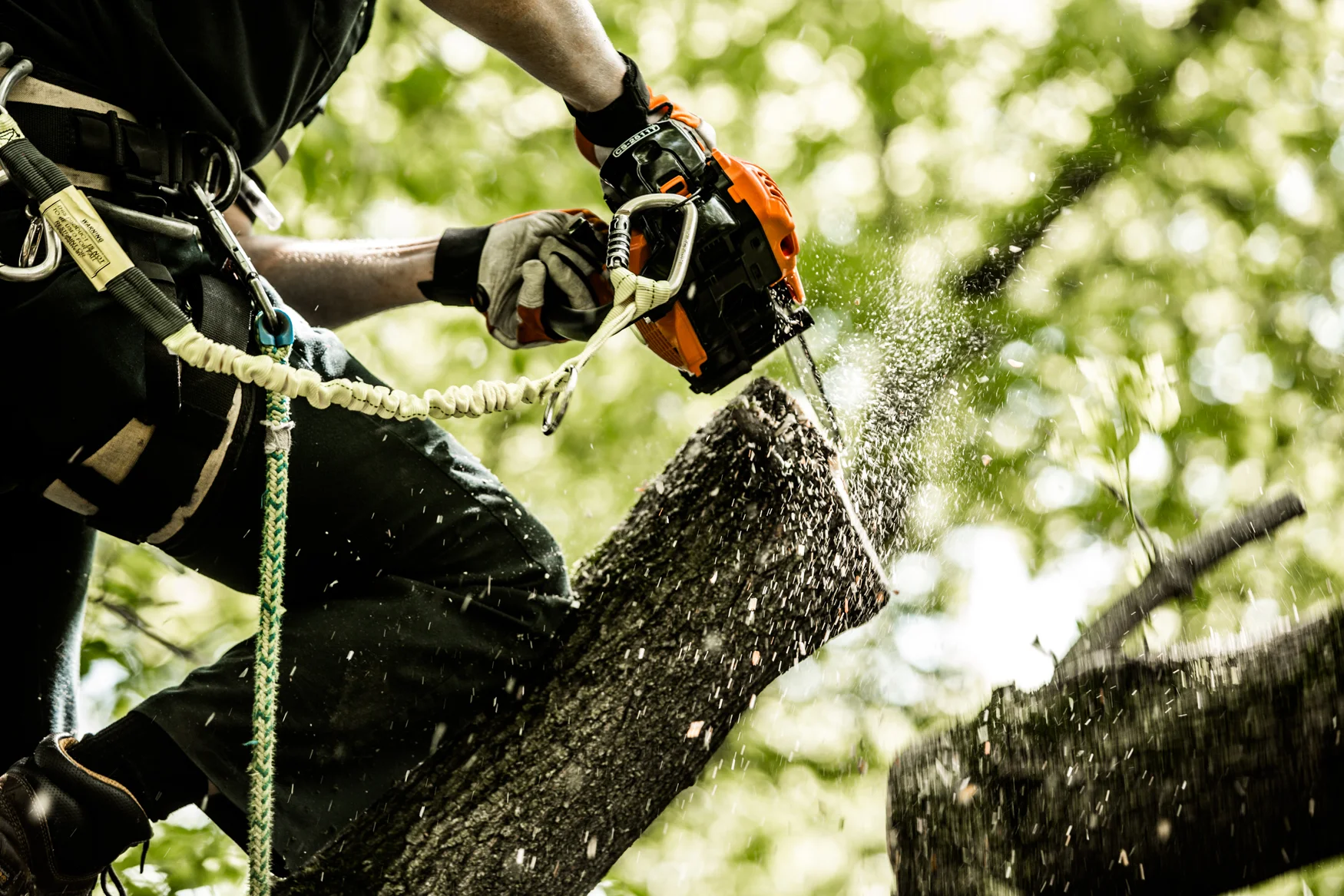Echo Cs Series Chainsaw Cs2511T 14 Chainsaw Cutting product image