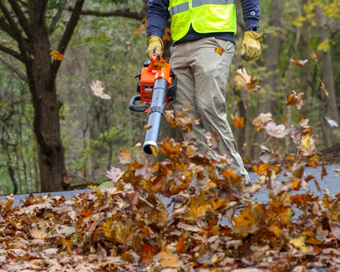 Echo Handheld Blower Pb 250Ln 4 Man Moving Leaves product image