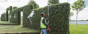 ECHO Hca Series Hedge Trimmers Extended Reach Performance feature image