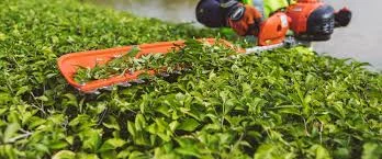 ECHO HCS Series Hedge Trimmers Comfortable Grip feature image