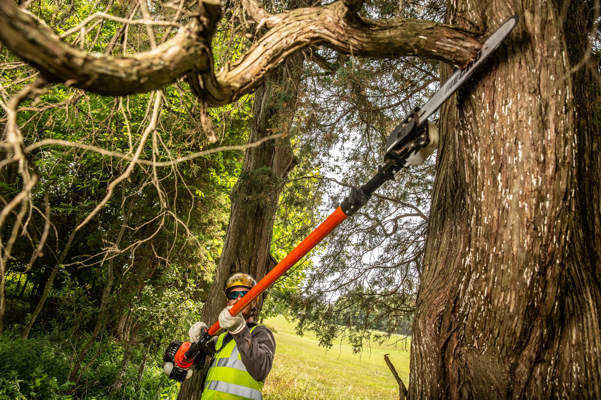 Echo Proxtreme Series Power Pruner Ppt 2620 Branch Cutting Closeup product image