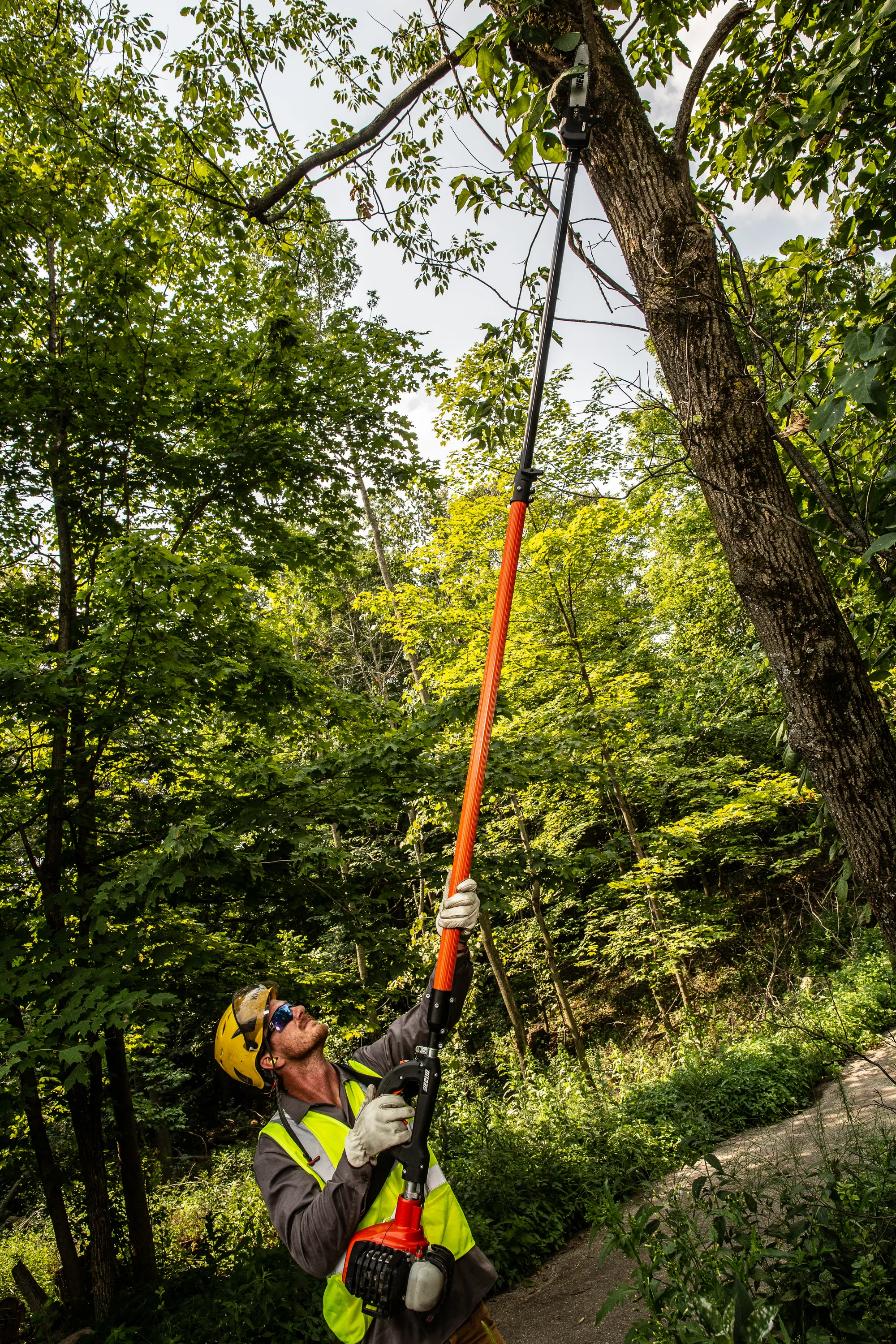 Echo Proxtreme Series Power Pruner Ppt 2620 Man Reaching Branch product image