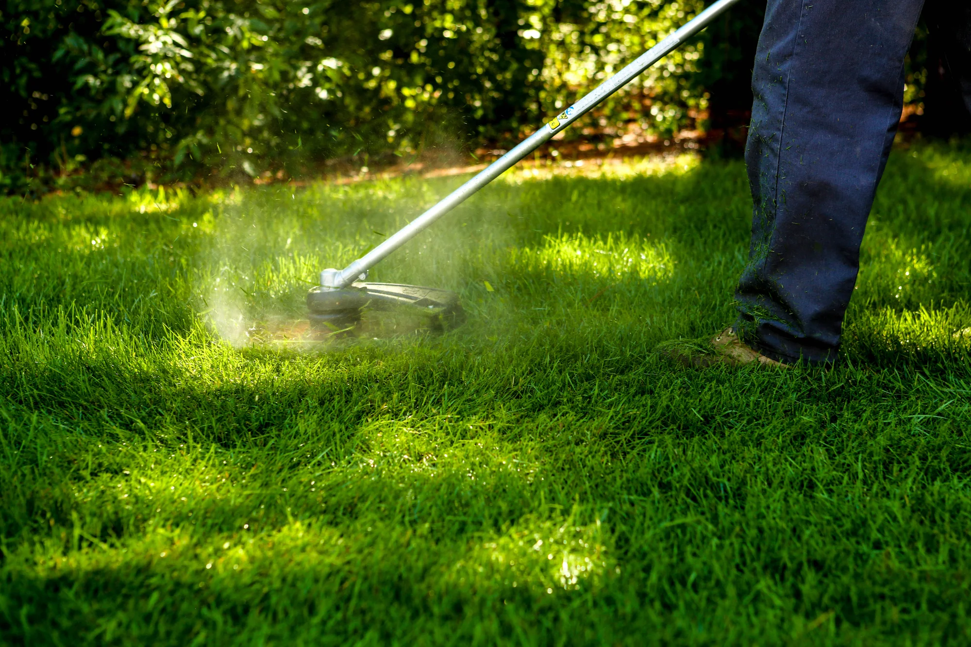 Echo Trimmer SRM 225 Echo Srm Series Trimmer Srm 225 Grass Dusting product image