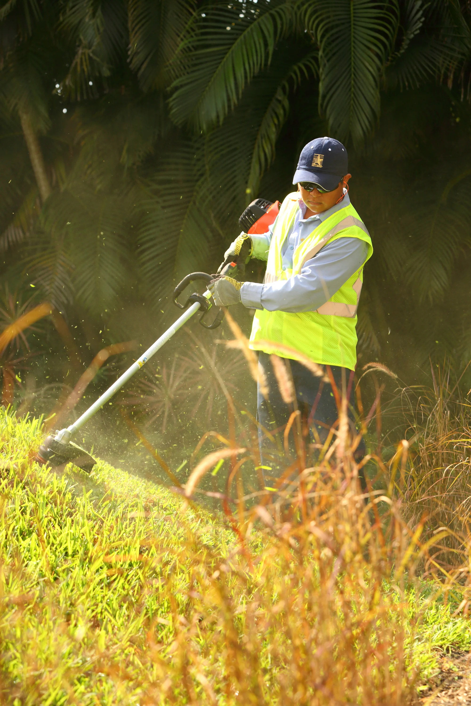 Echo Srm Series Trimmer Srm 2620 Man Trimming Grass Palm Trees product image
