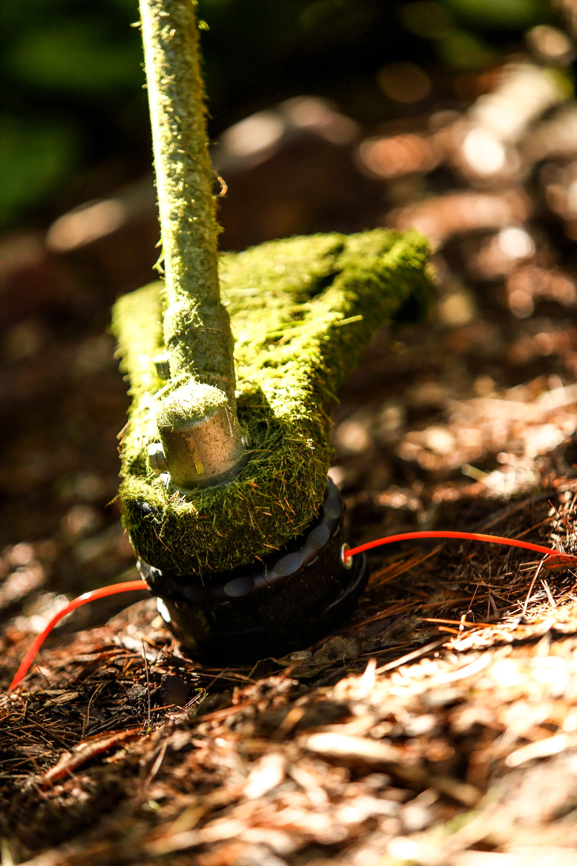 Echo Srm Series Trimmer Srm 3020T Grass Coating product image