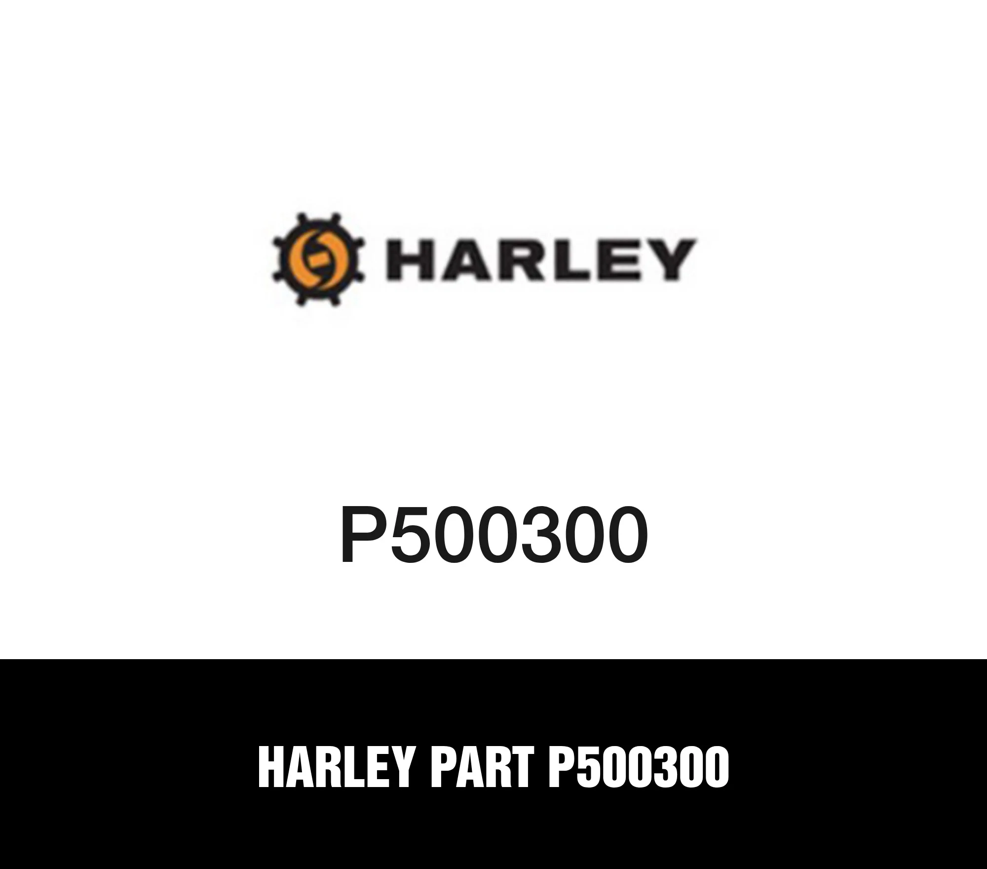 Harley Part P500300