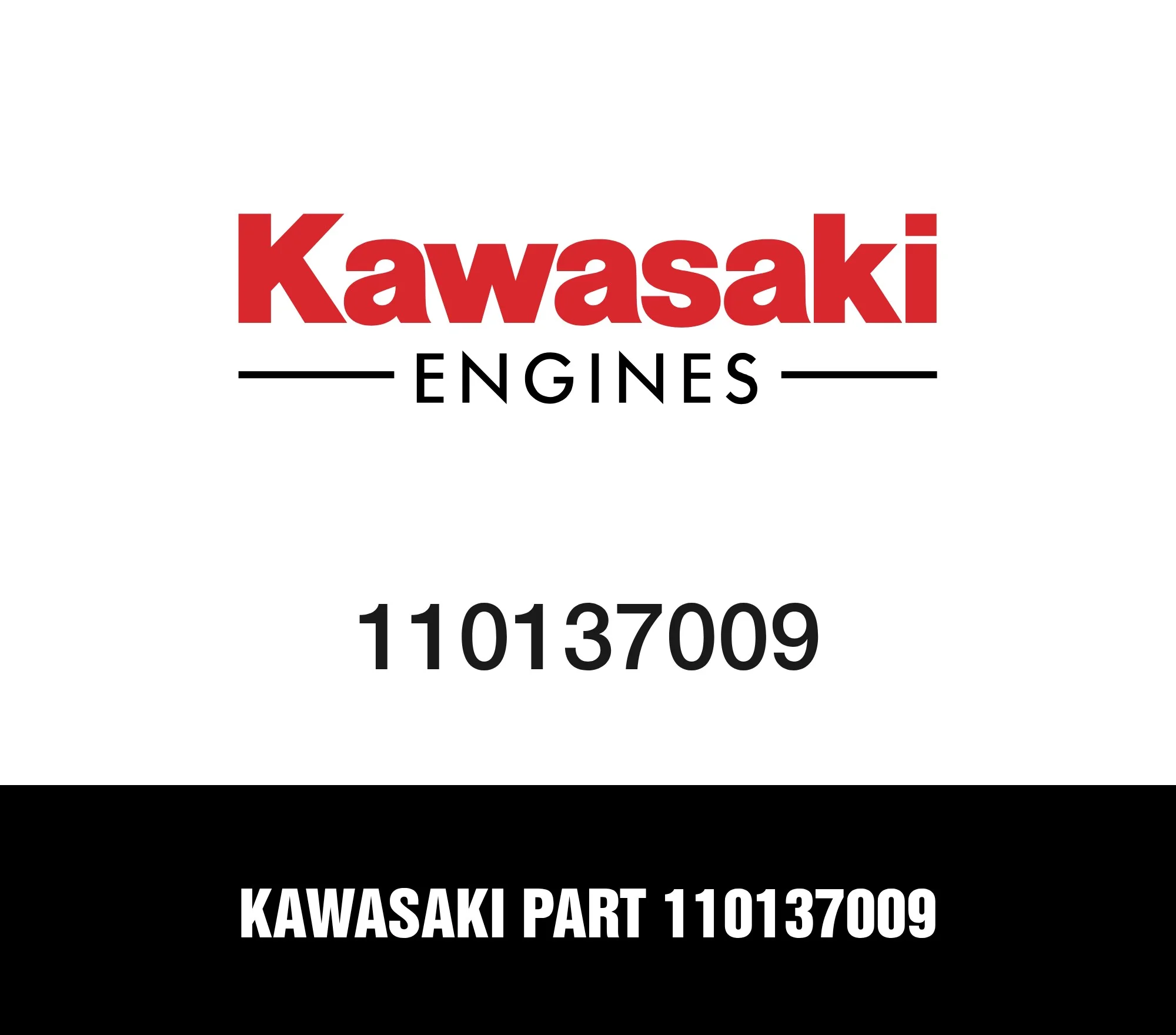 Kawasaki Part 110137009