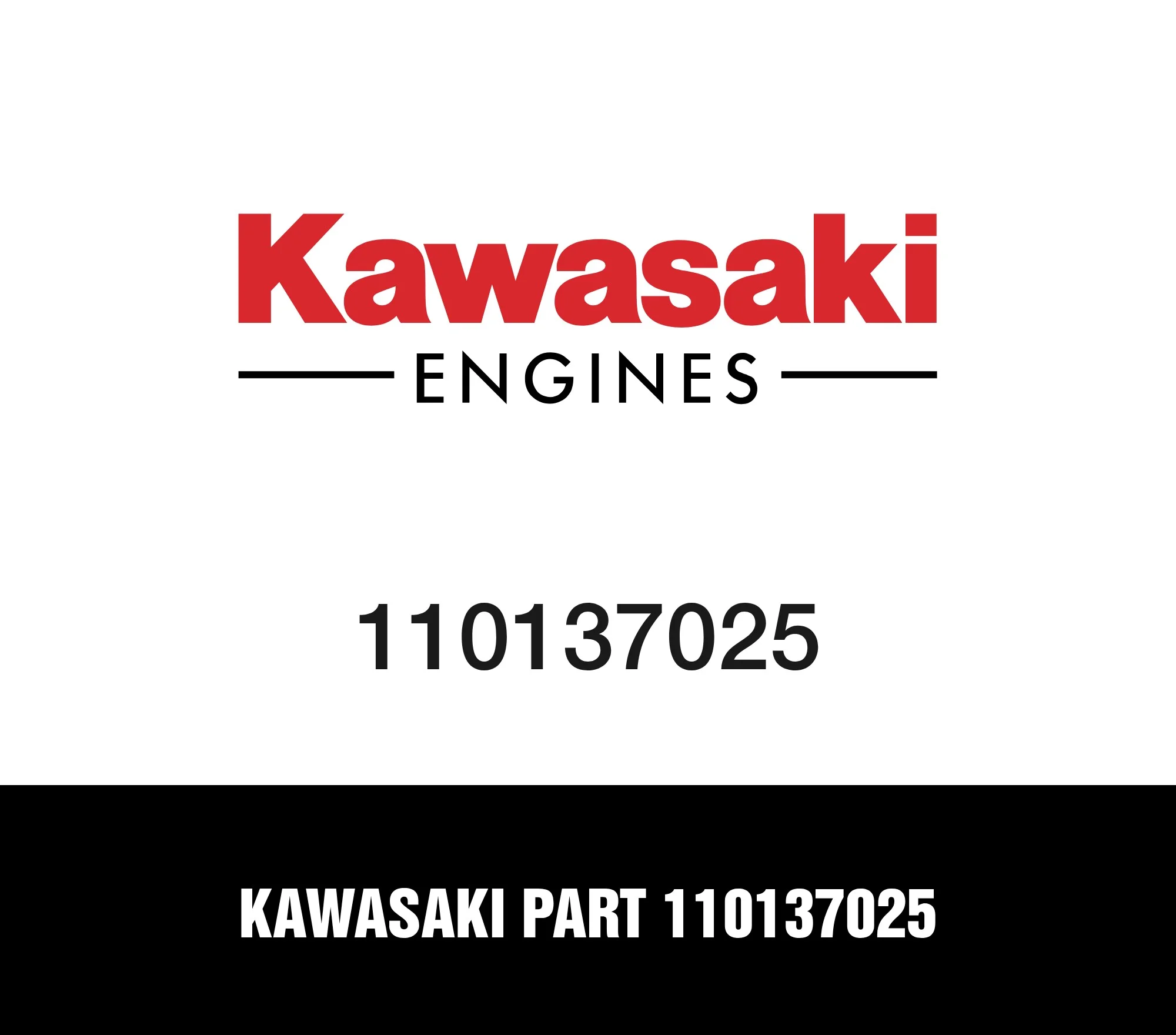 Kawasaki Part 110137025