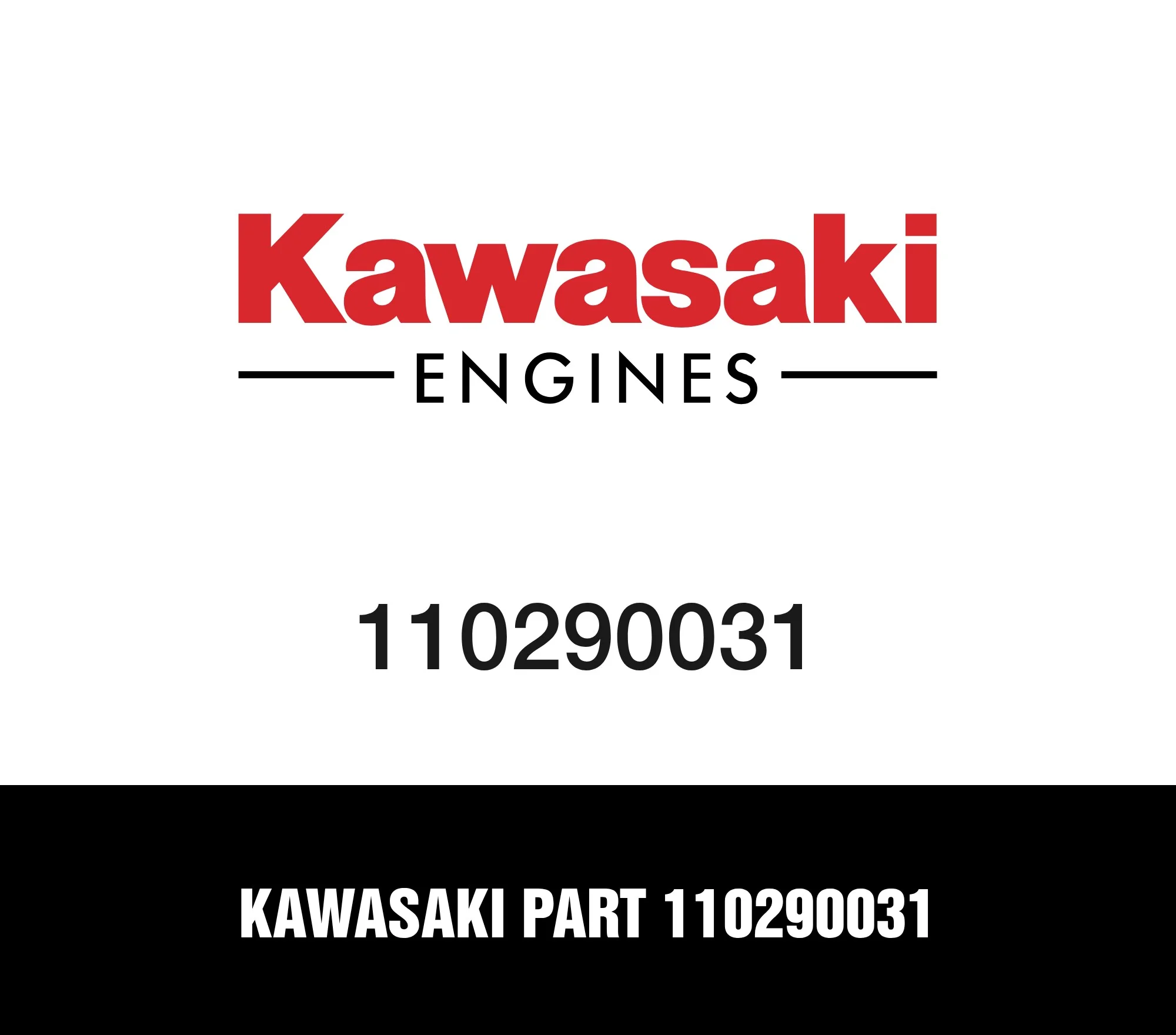 Kawasaki Part 110290031