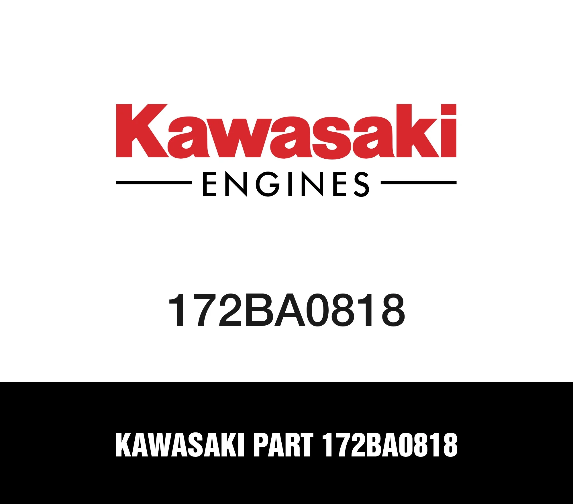 Kawasaki Part 172BA0818
