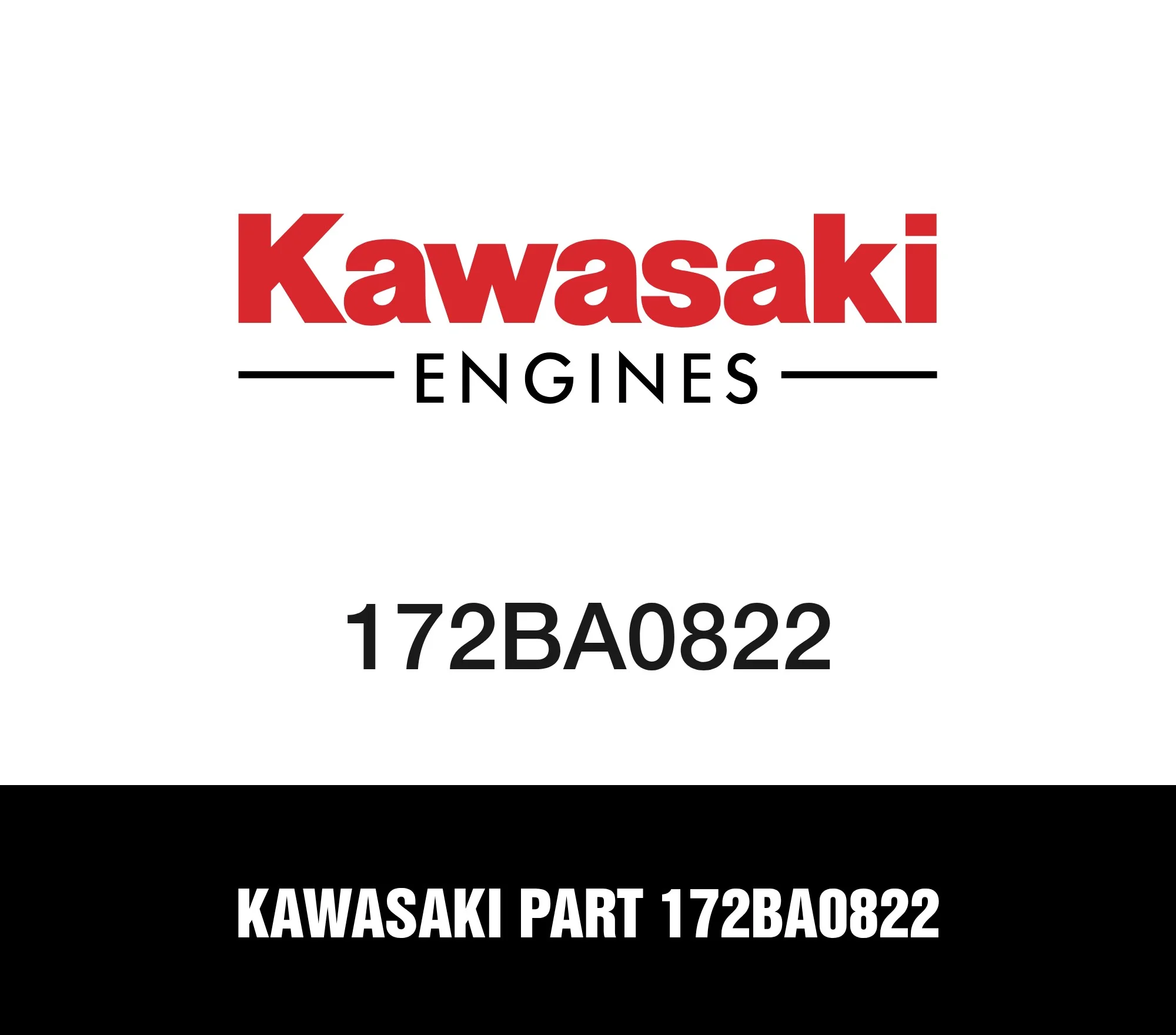 Kawasaki Part 172BA0822