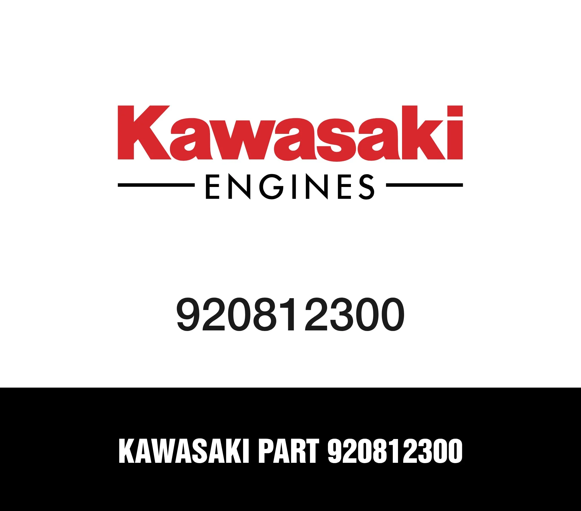 Kawasaki Part 920812300