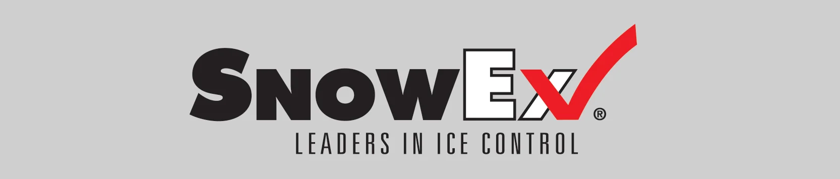 Product Insights Header Snowex