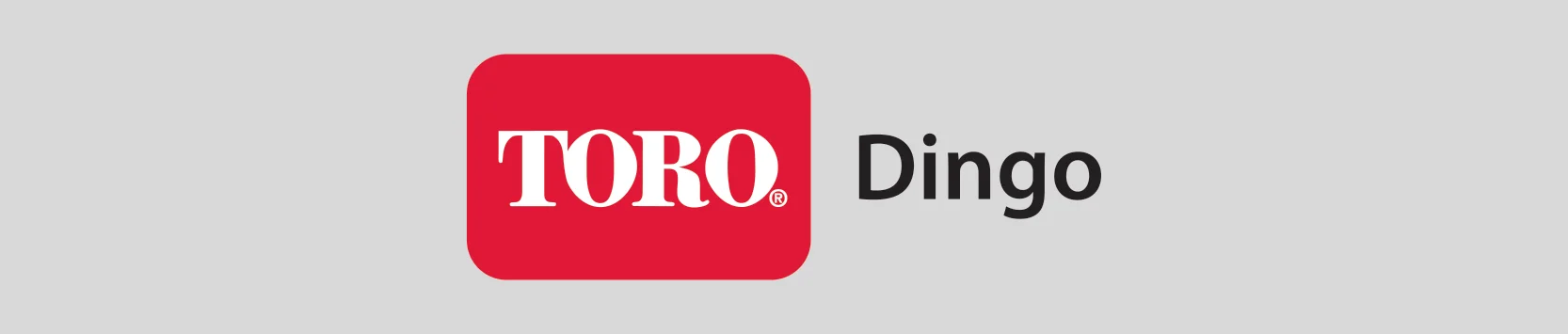 Product Insights Header Toro Dingo