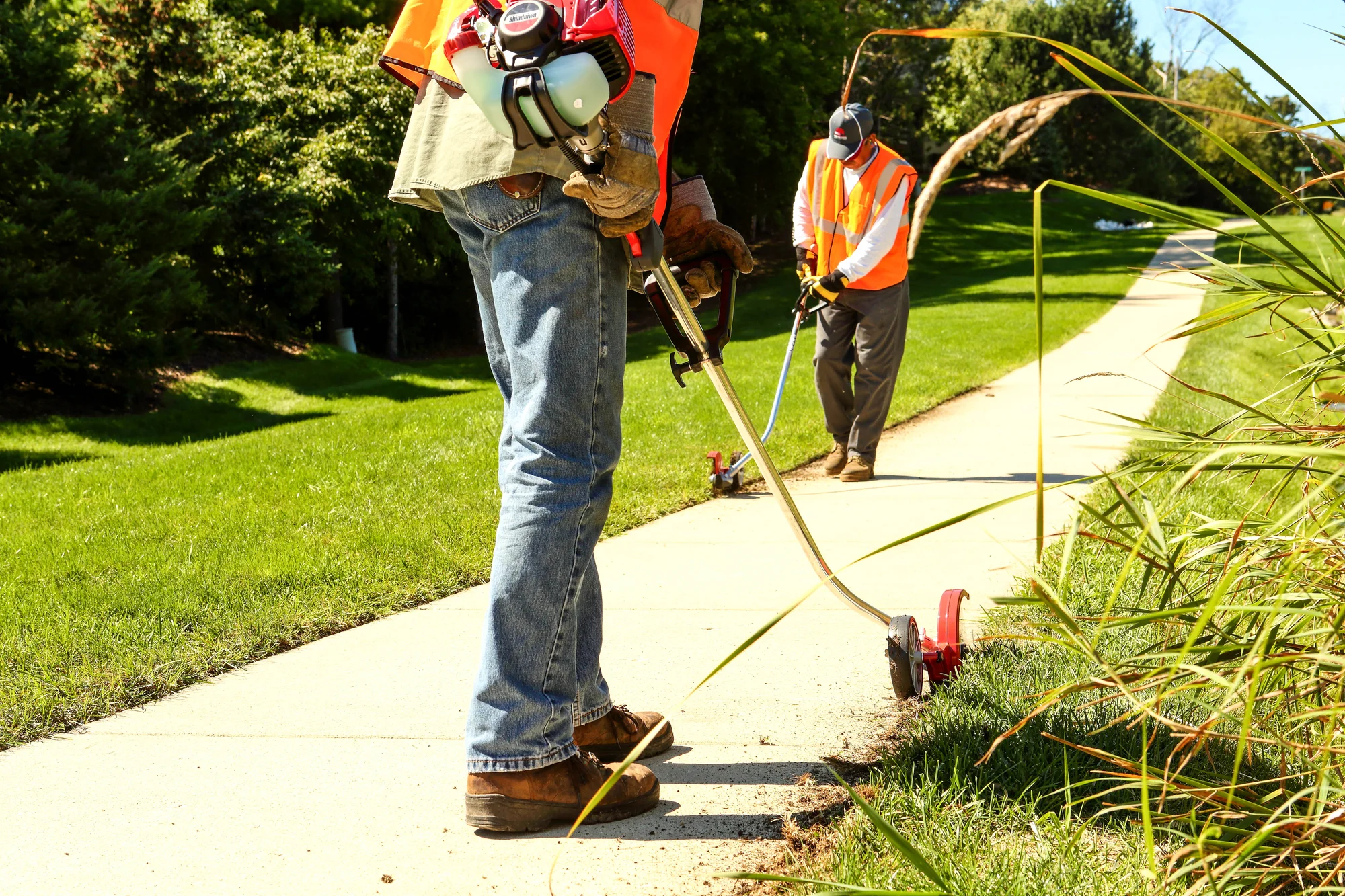 Shindaiwa Le Series Edger Le262 Closeup Two Men Edging Sidewalk product image