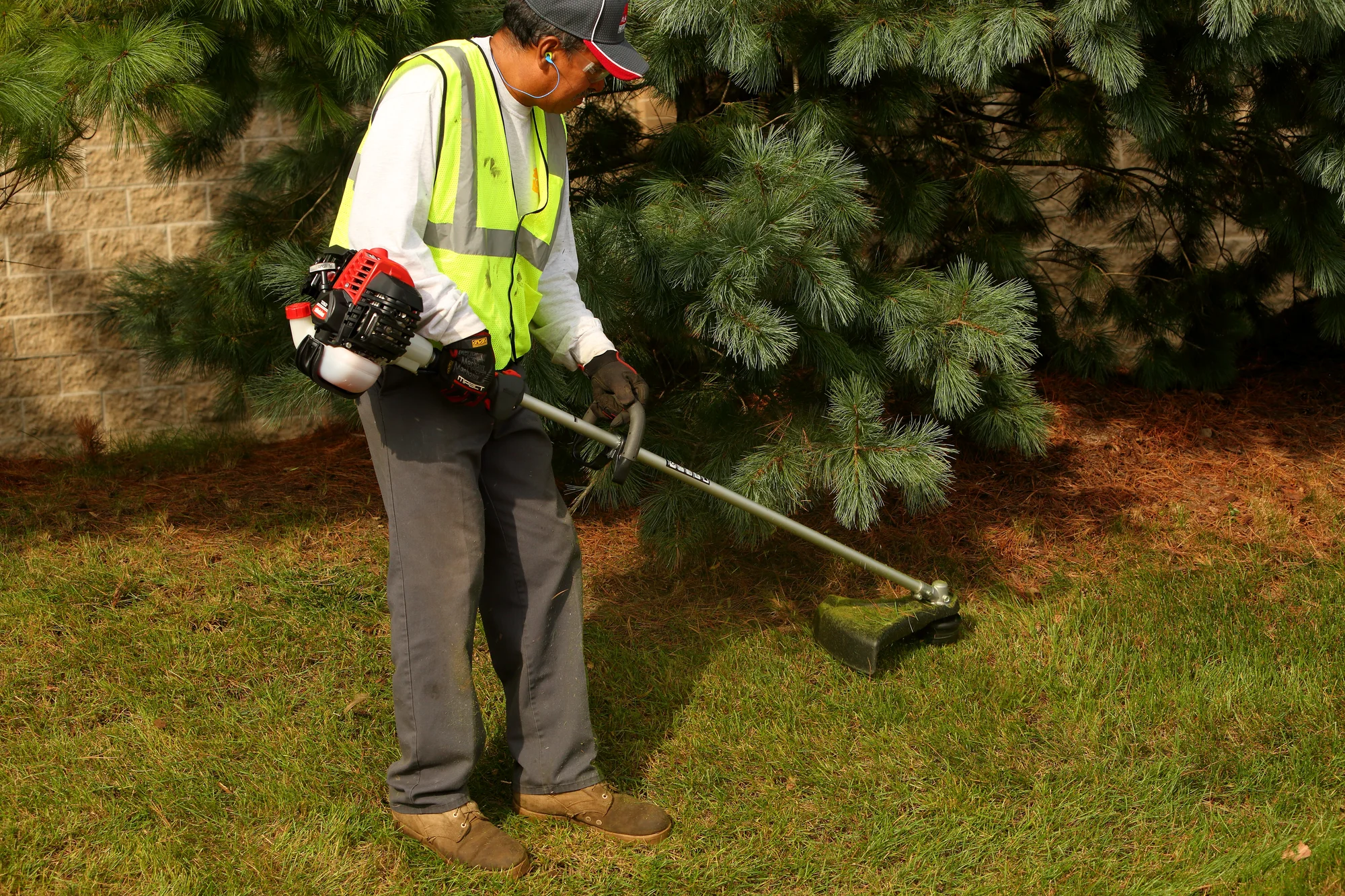 Shindaiwa Trimmer T262 Shindaiwa T Series Trimmer T262 Lifestyle Wide Shot Back Right View Man Trimming Grass Around Tree product image